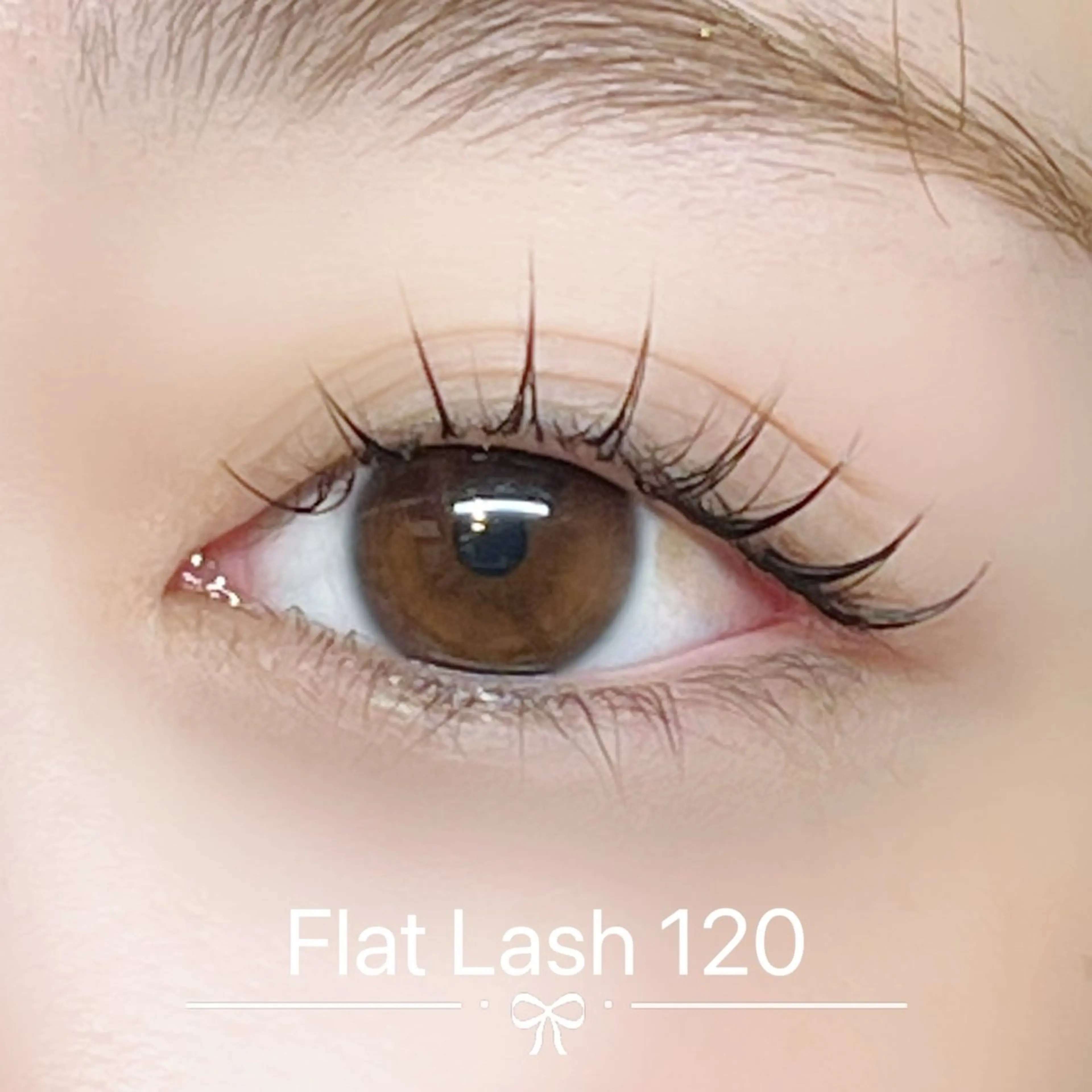 フラットラッシュ120の写真