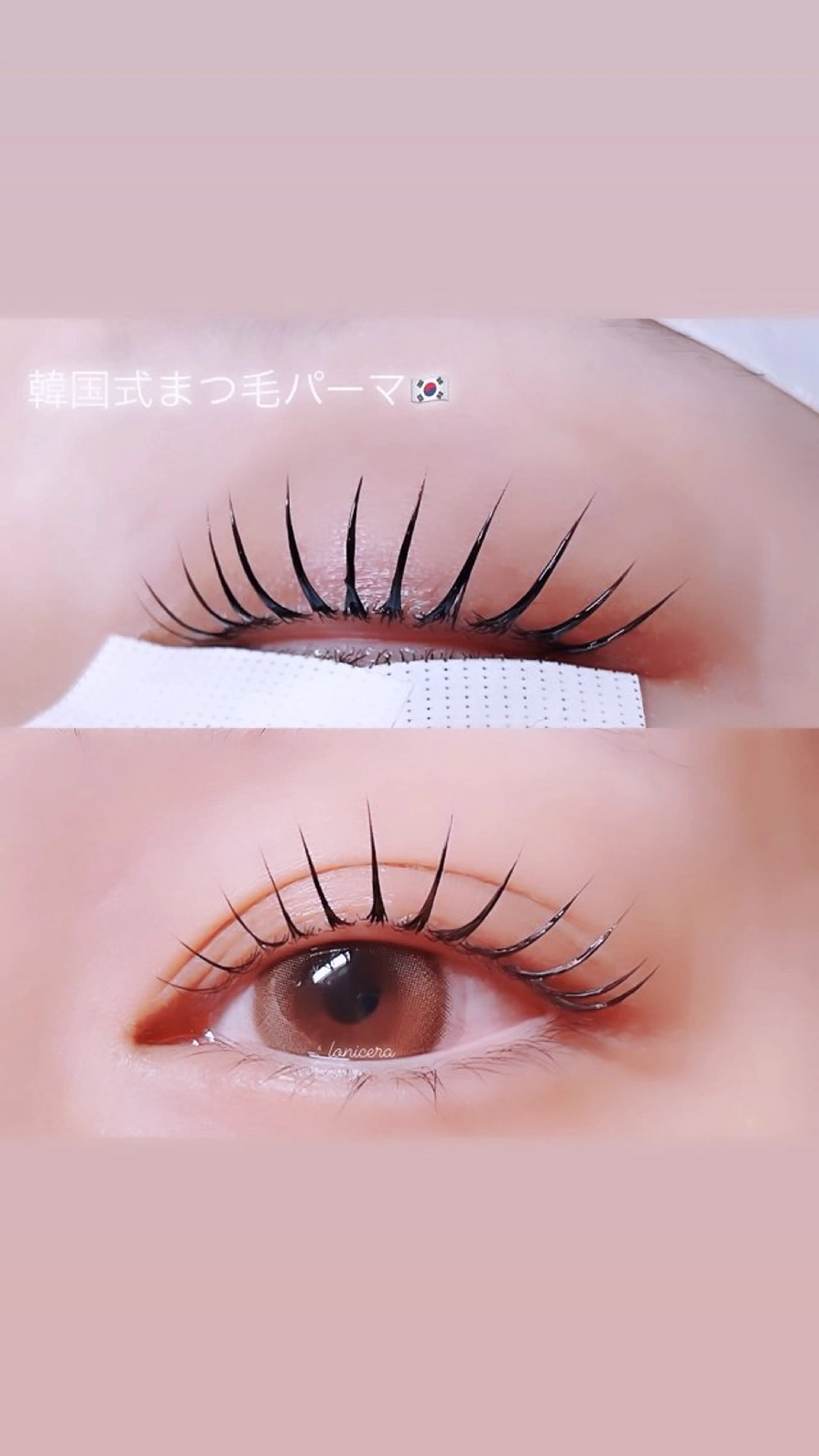 マツエク・マツパ 韓国風マツエク 一重×まつ毛パーマ ロニセラ アイラッシュのマツエク・マツパデザイン