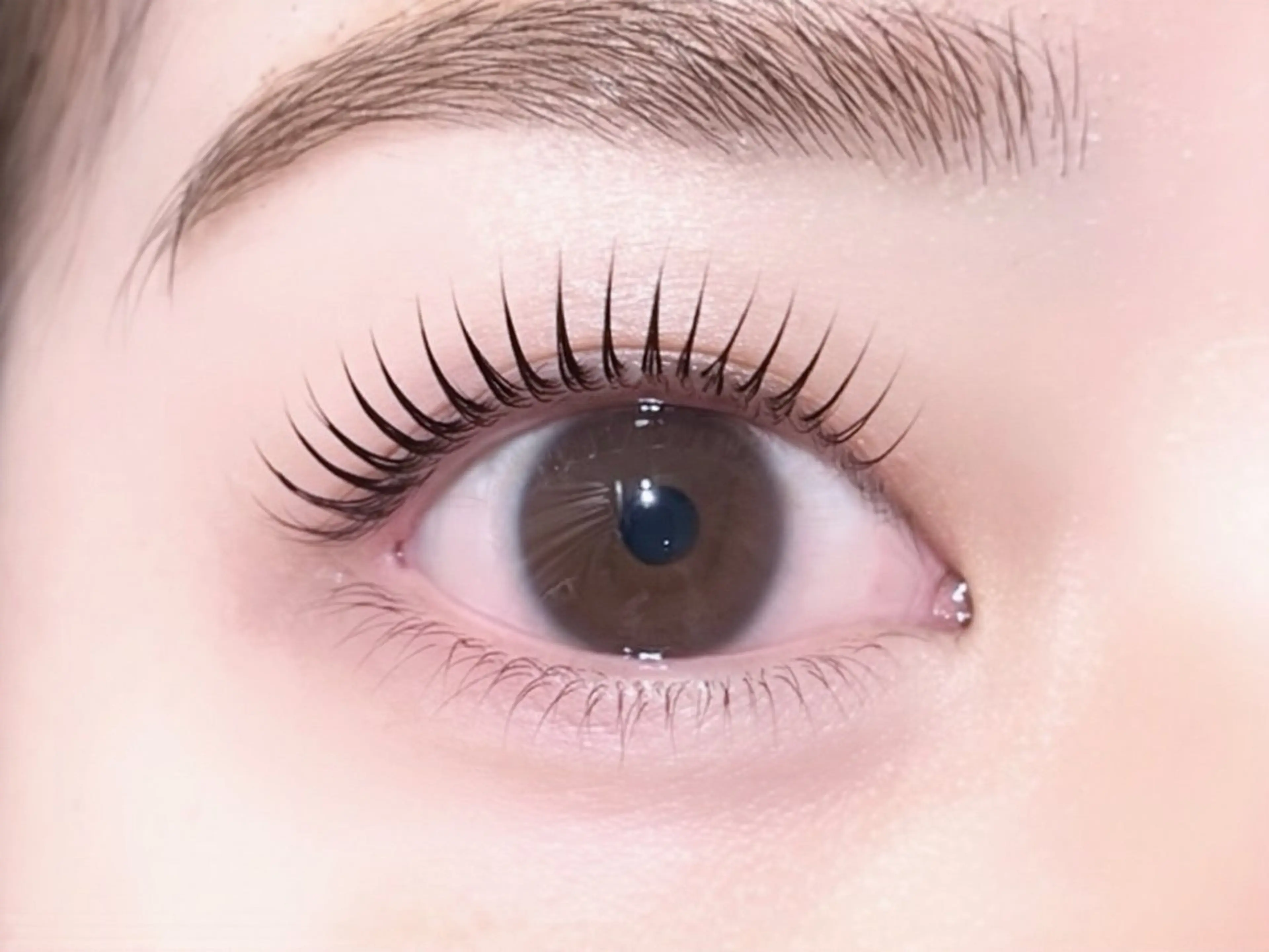 マツエク・マツパ マツパ FOXYLASH難波 sasakiのマツエク・マツパデザイン