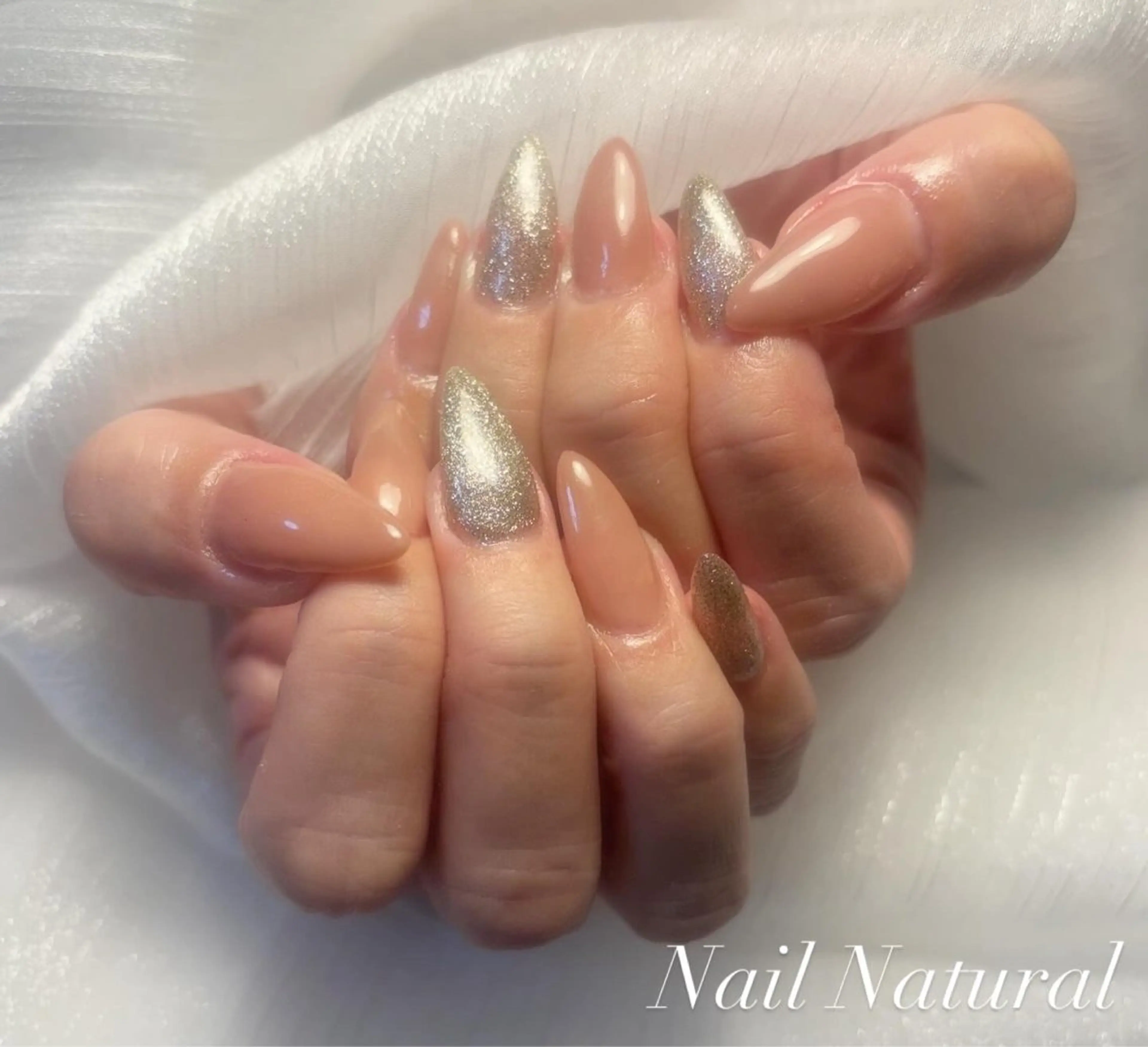 ネイル ジェルネイル マグネットネイル 持ち込み ハンドネイル Nail salon Natulalのネイルデザイン