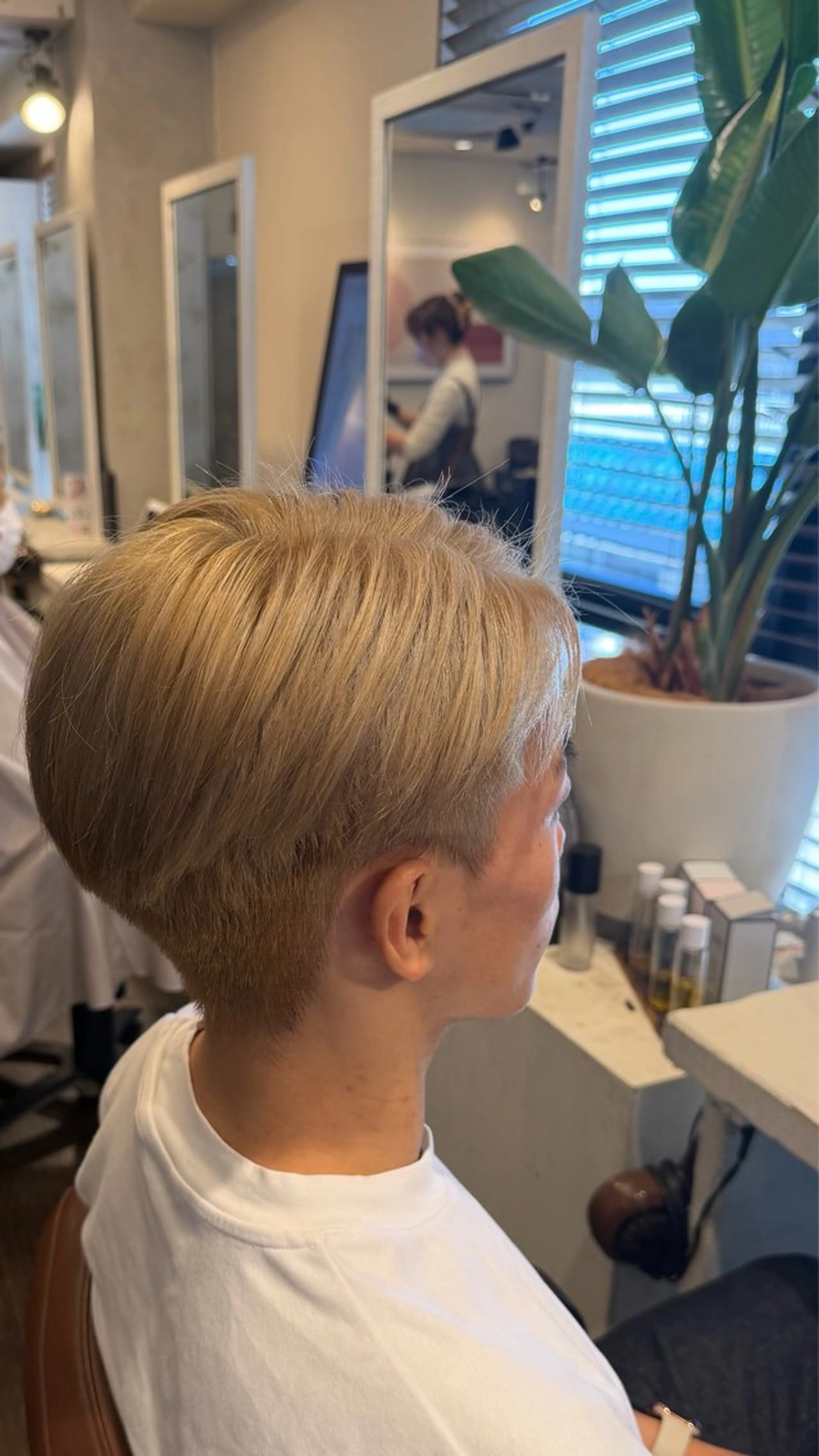 トーンアップカラー⭐️の写真