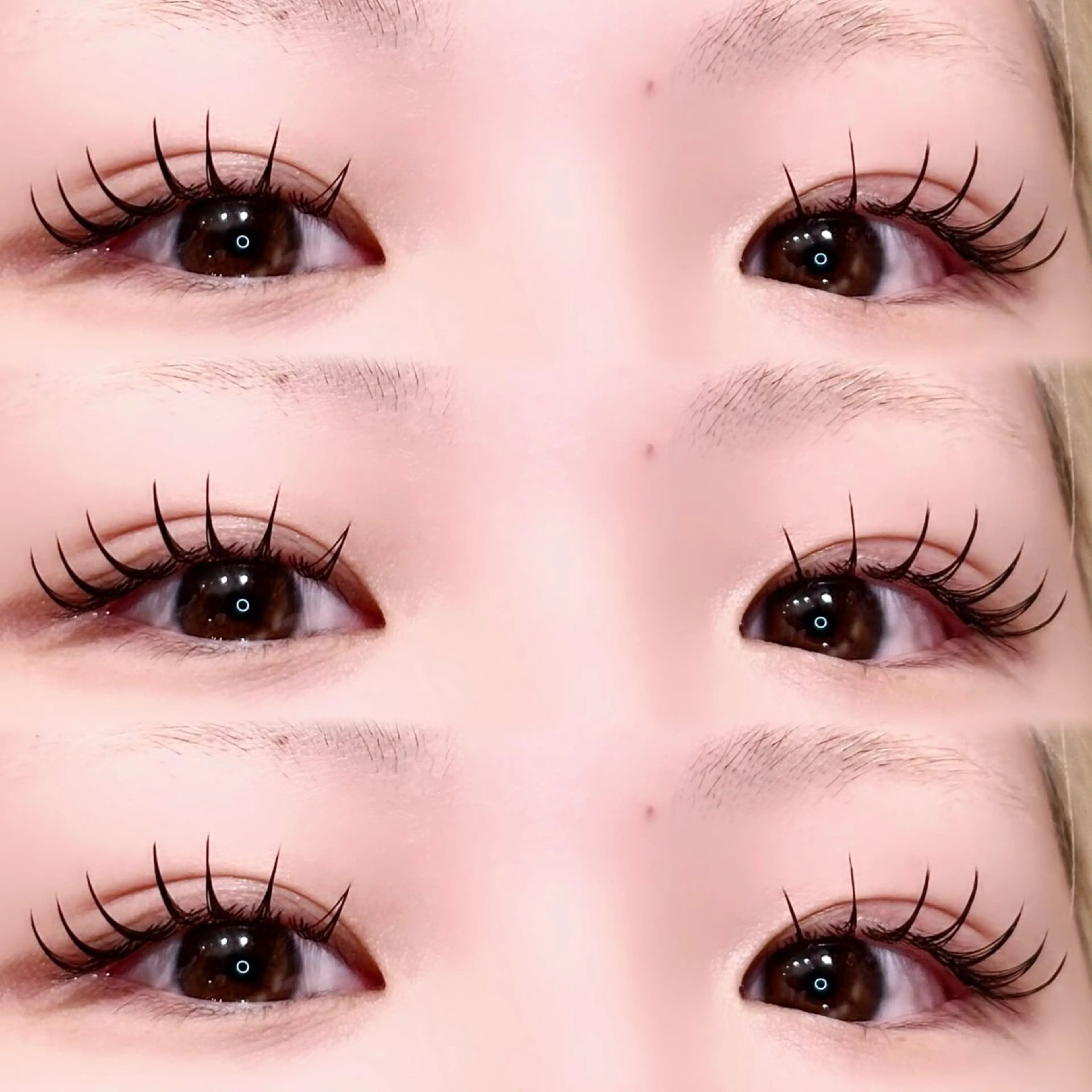 マツエク・マツパ Dカール フラットラッシュ マツエク 💙KOJIMA ERIKAのマツエク・マツパデザイン