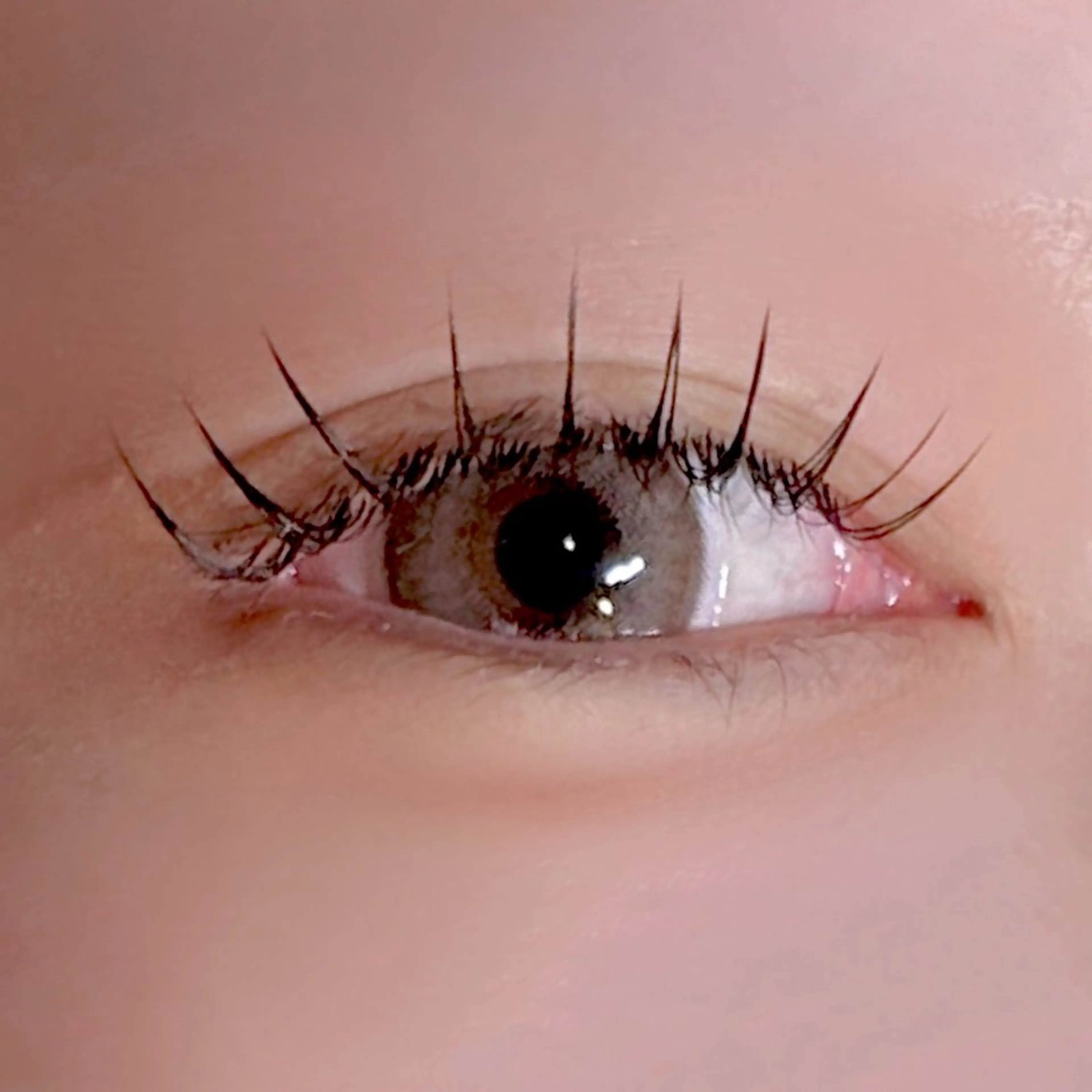 マツエク・マツパ マツエク ガレリアKH店 足立のマツエク・マツパデザイン