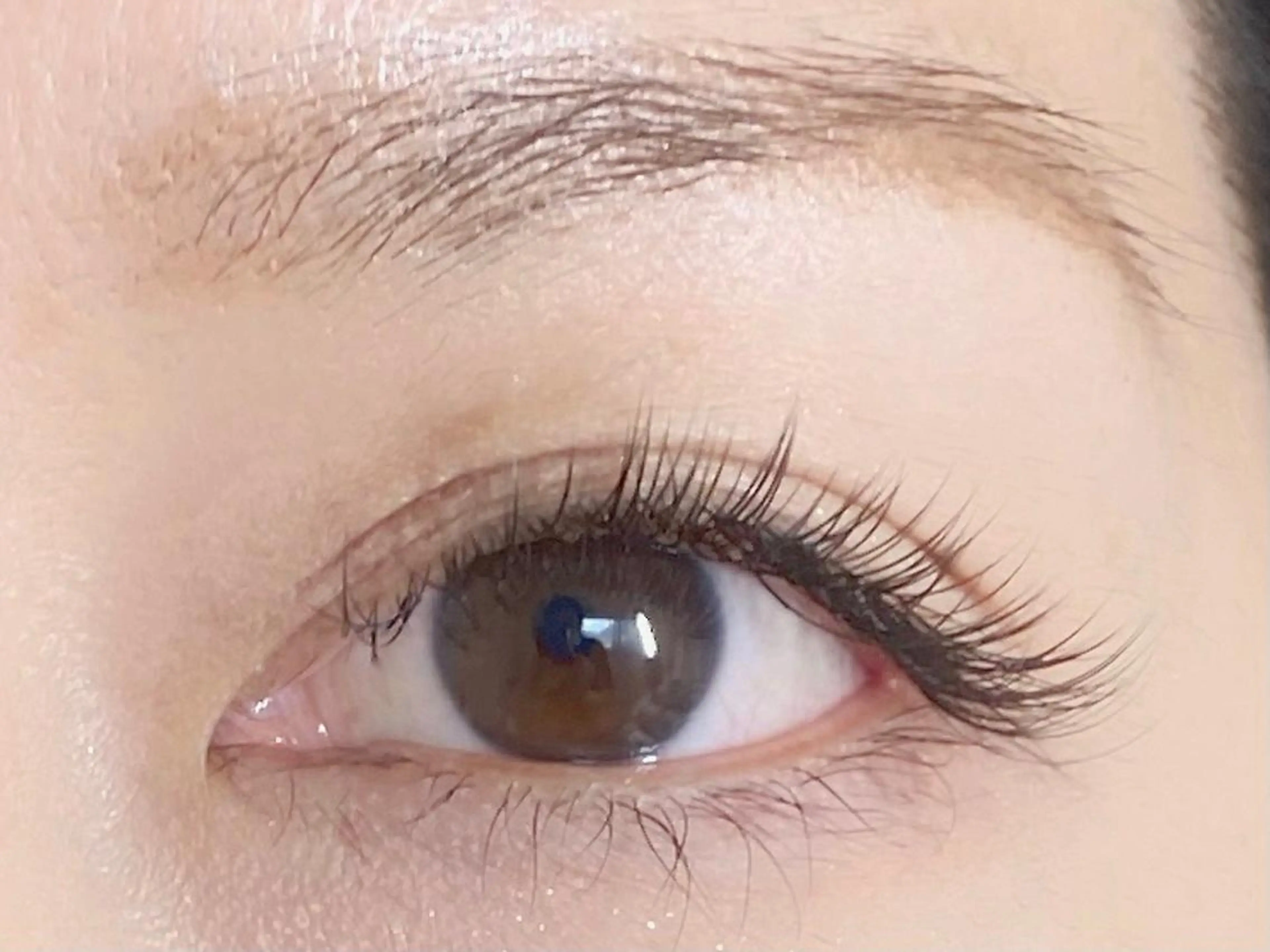 マツエク・マツパ マツパ/マツエク アイリスト　酒井の眉毛・アイブロウイメージ