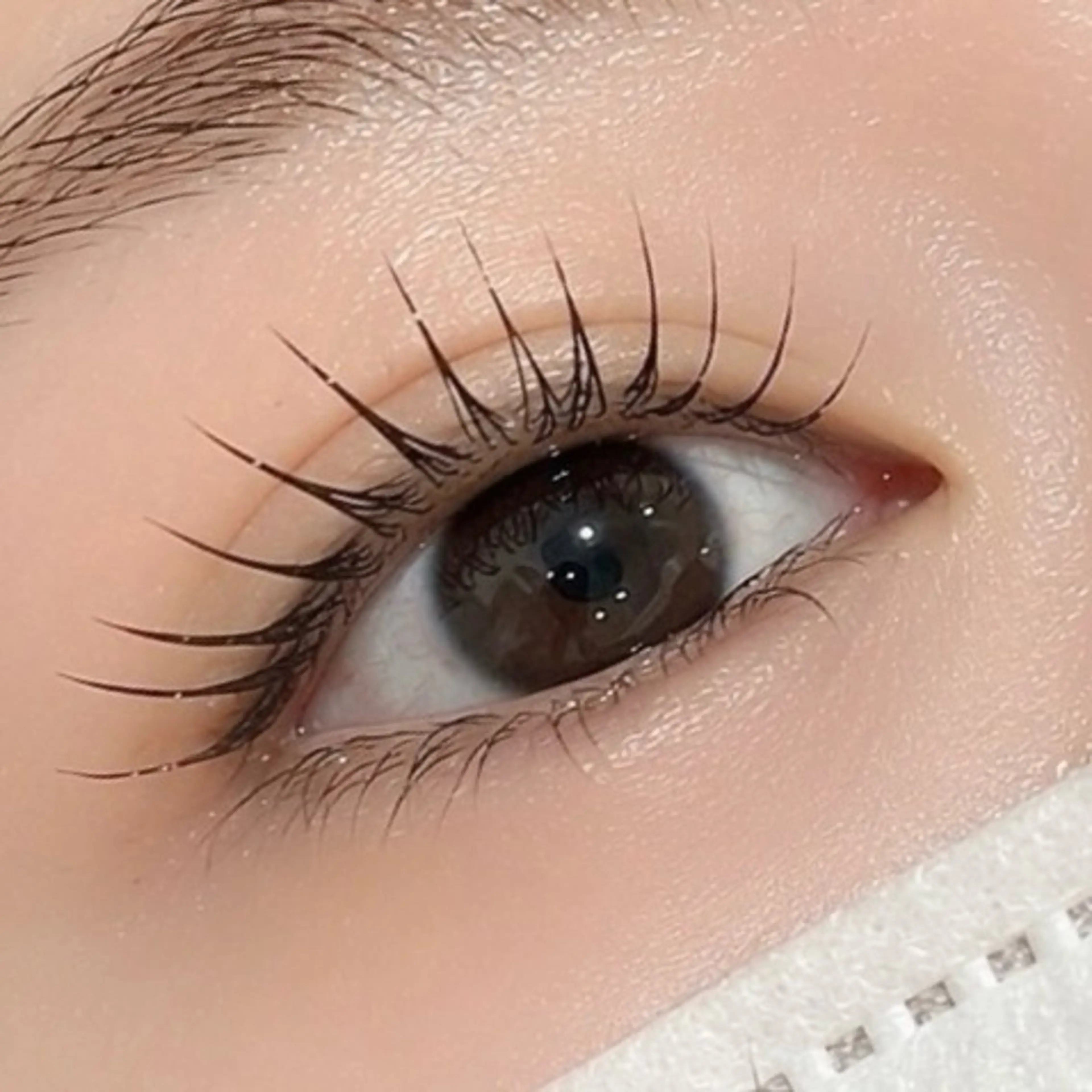 マツエク・マツパ マツパ 京橋🦋LEDマツエ ク&まつ毛パーマのマツエク・マツパデザイン