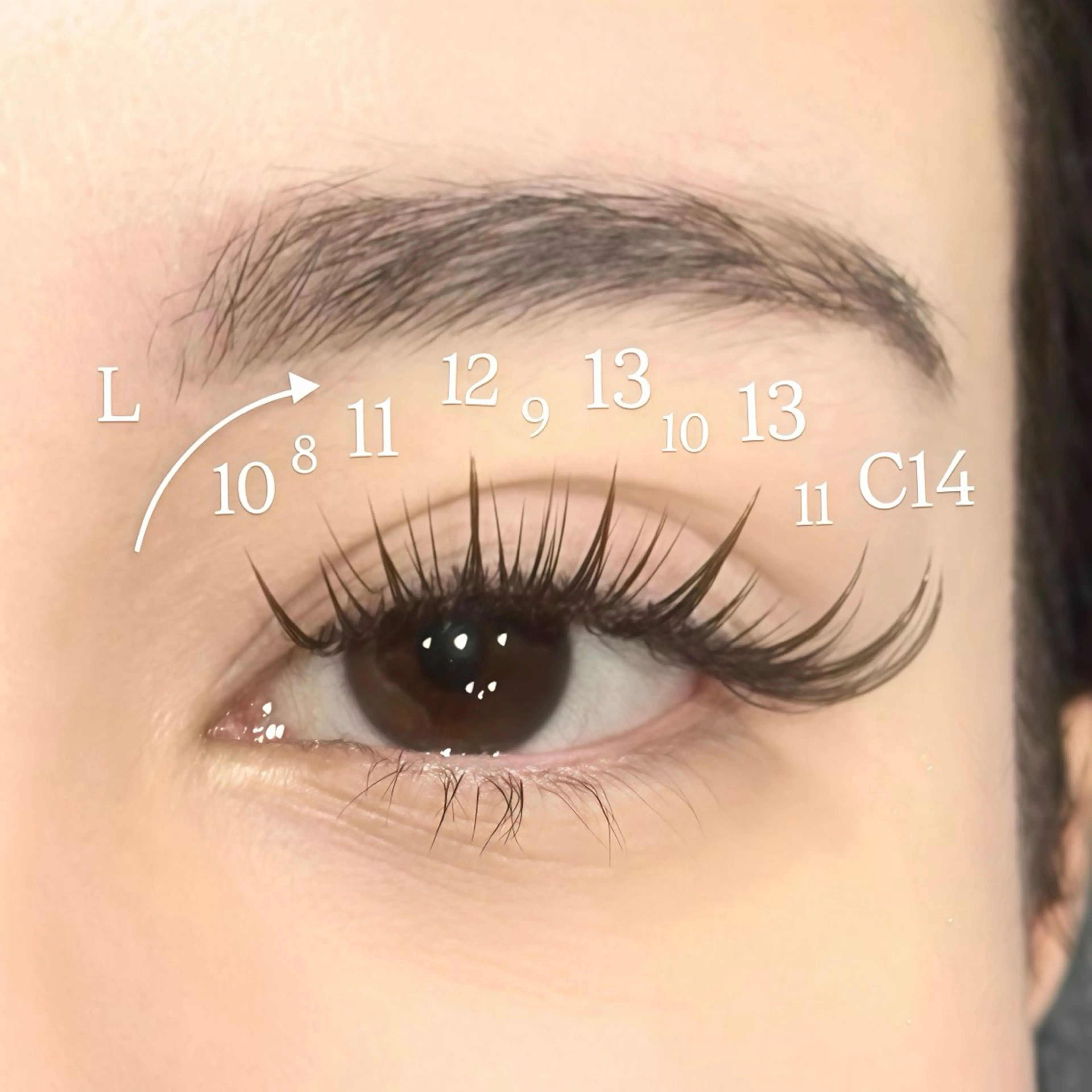 マツエク・マツパ マツエク AILEEN *のマツエク・マツパデザイン