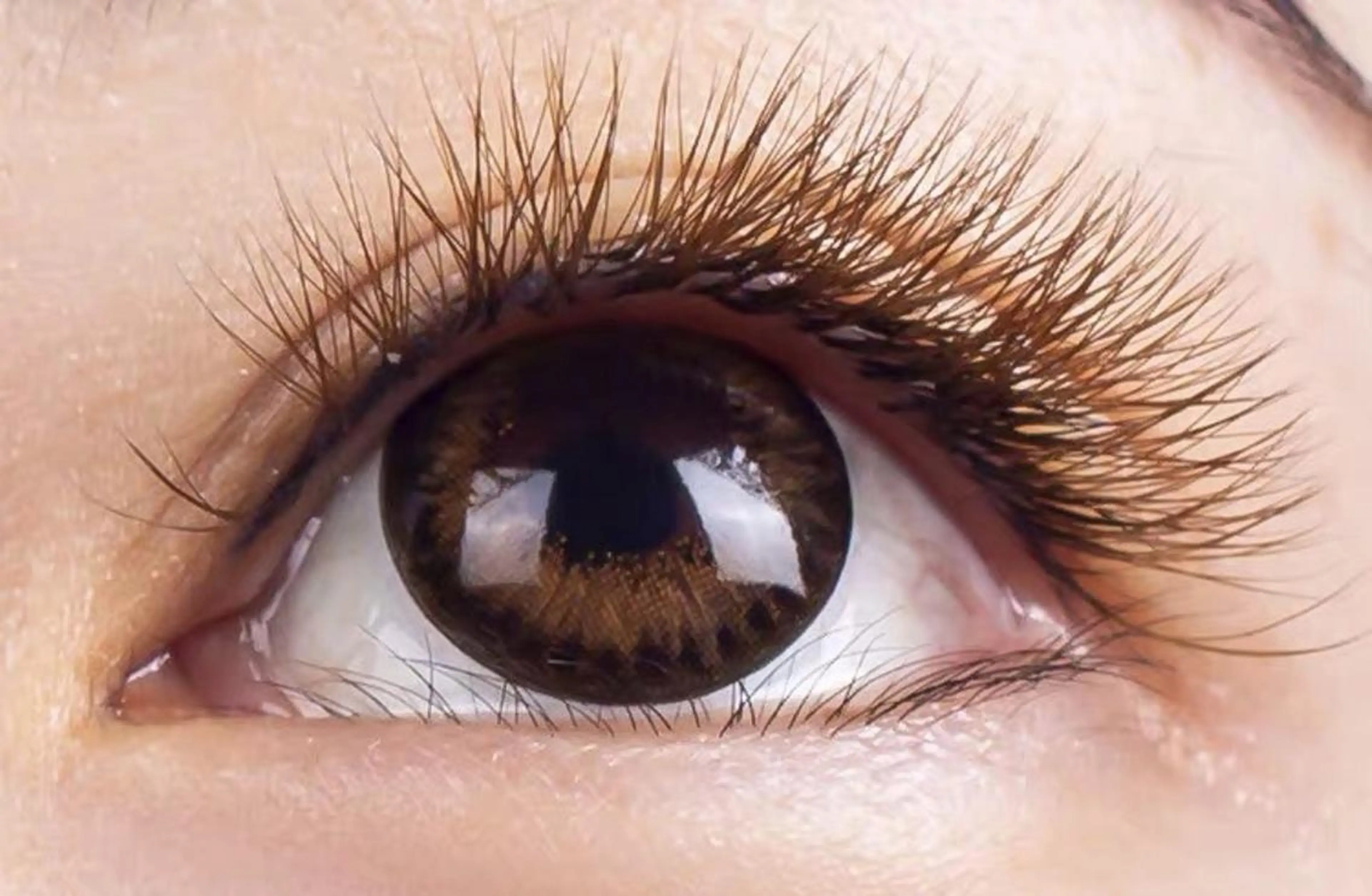 マツエク・マツパ Cute B e au t yのマツエク・マツパデザイン