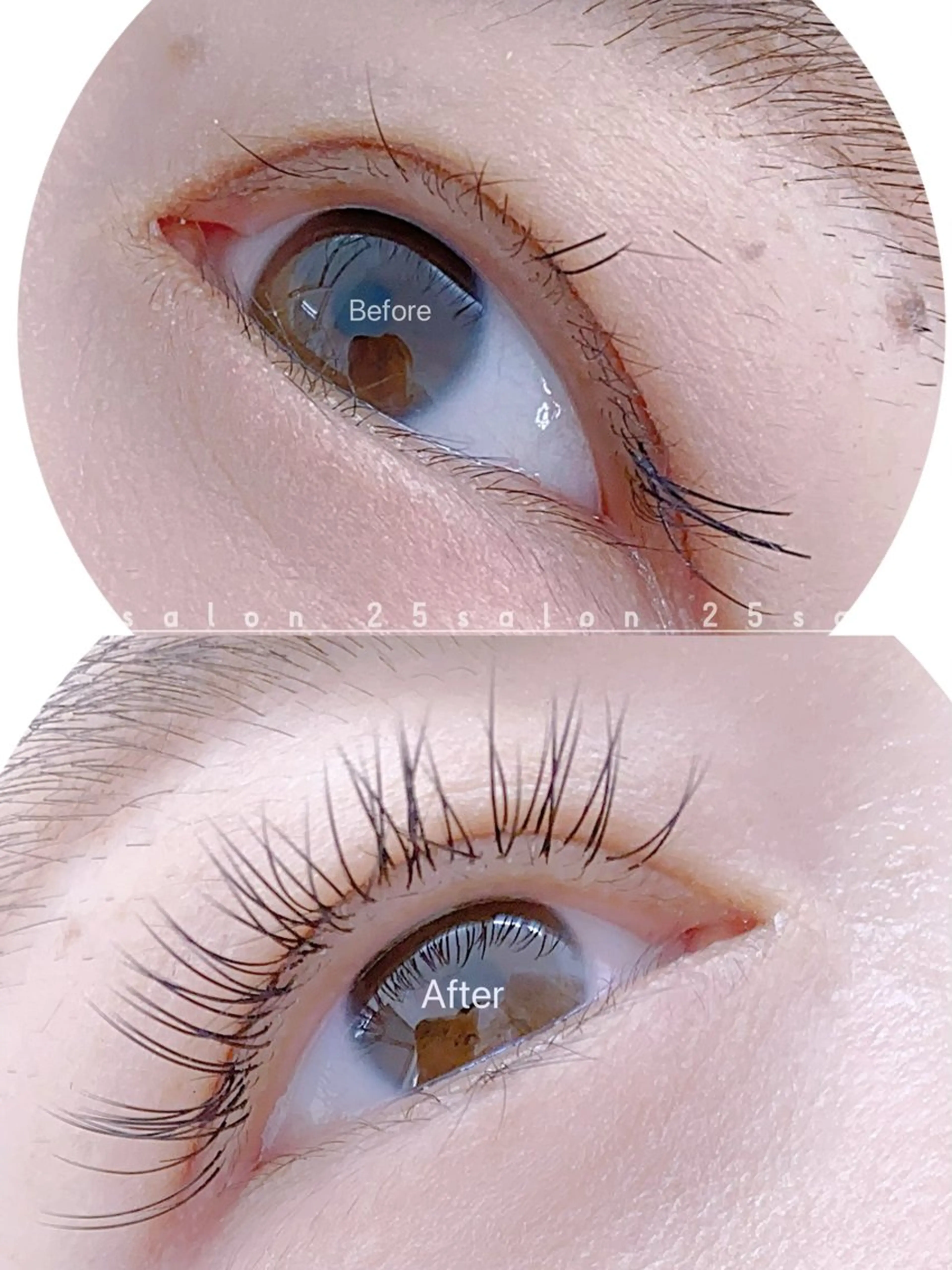 マツエク・マツパ 韓国風マツエク ワンホンマツエク 2 5のマツエク・マツパデザイン