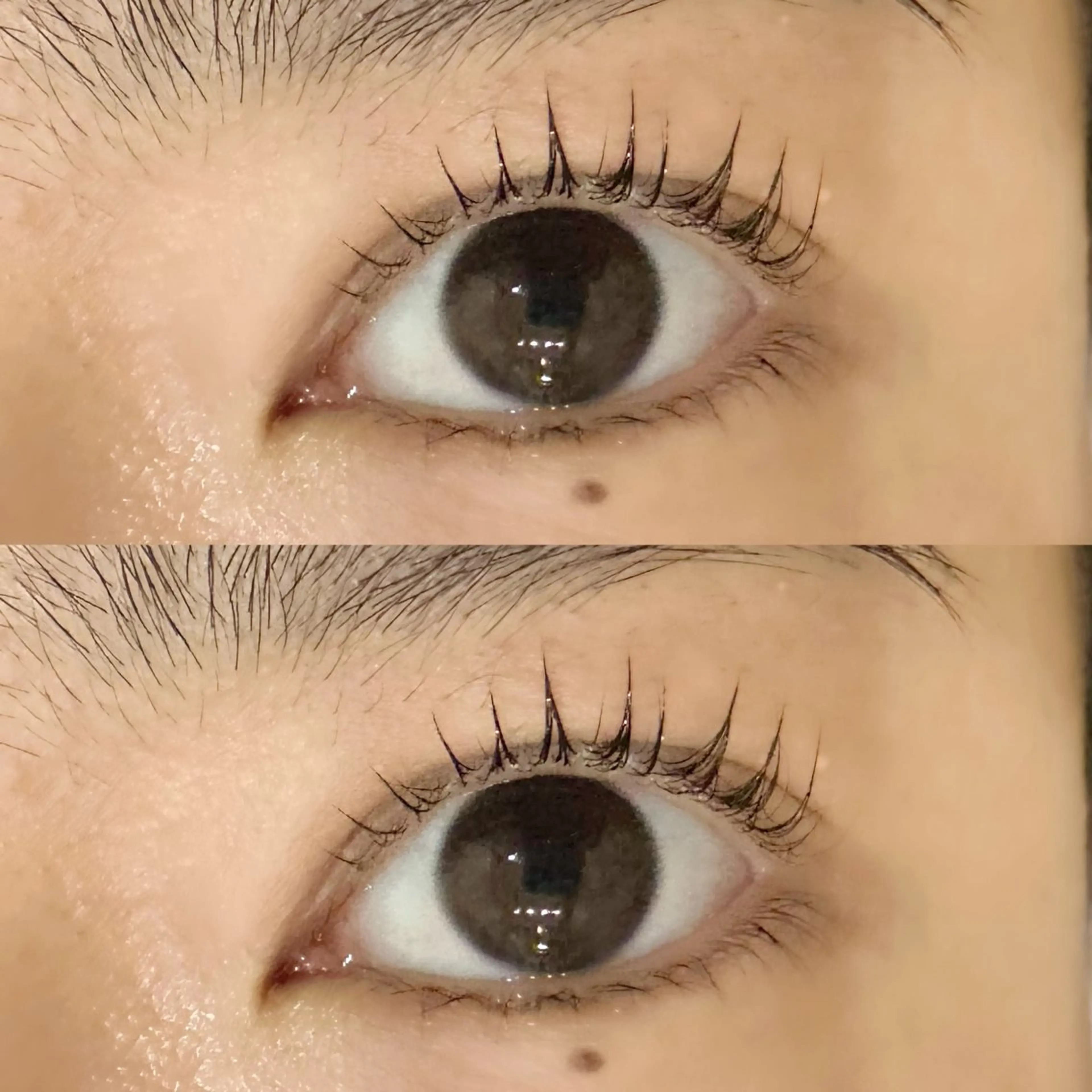 マツエク・マツパ マツパ lash room 🌼 miyabiのマツエク・マツパデザイン