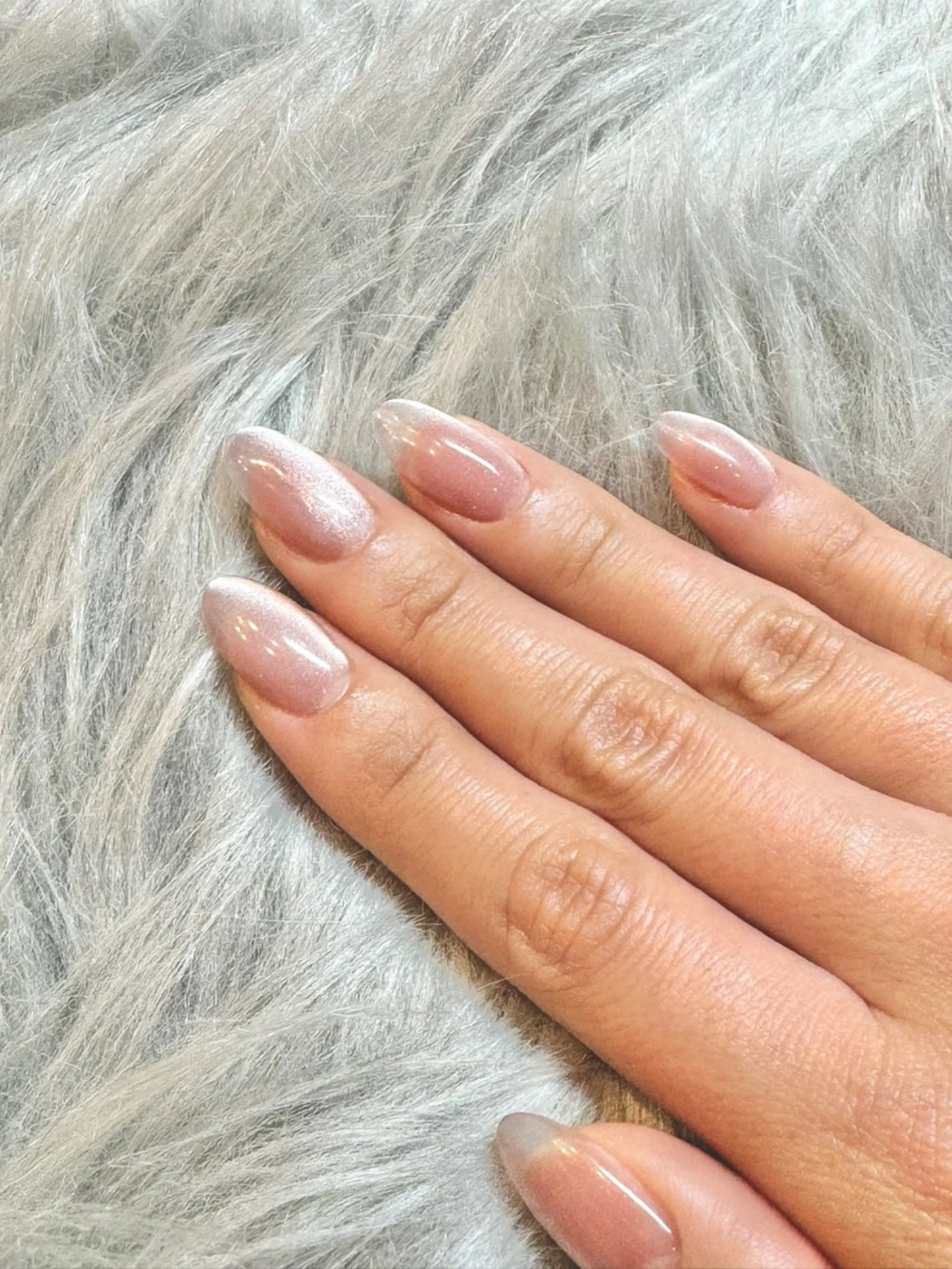 オフありenoiワンカラーの写真