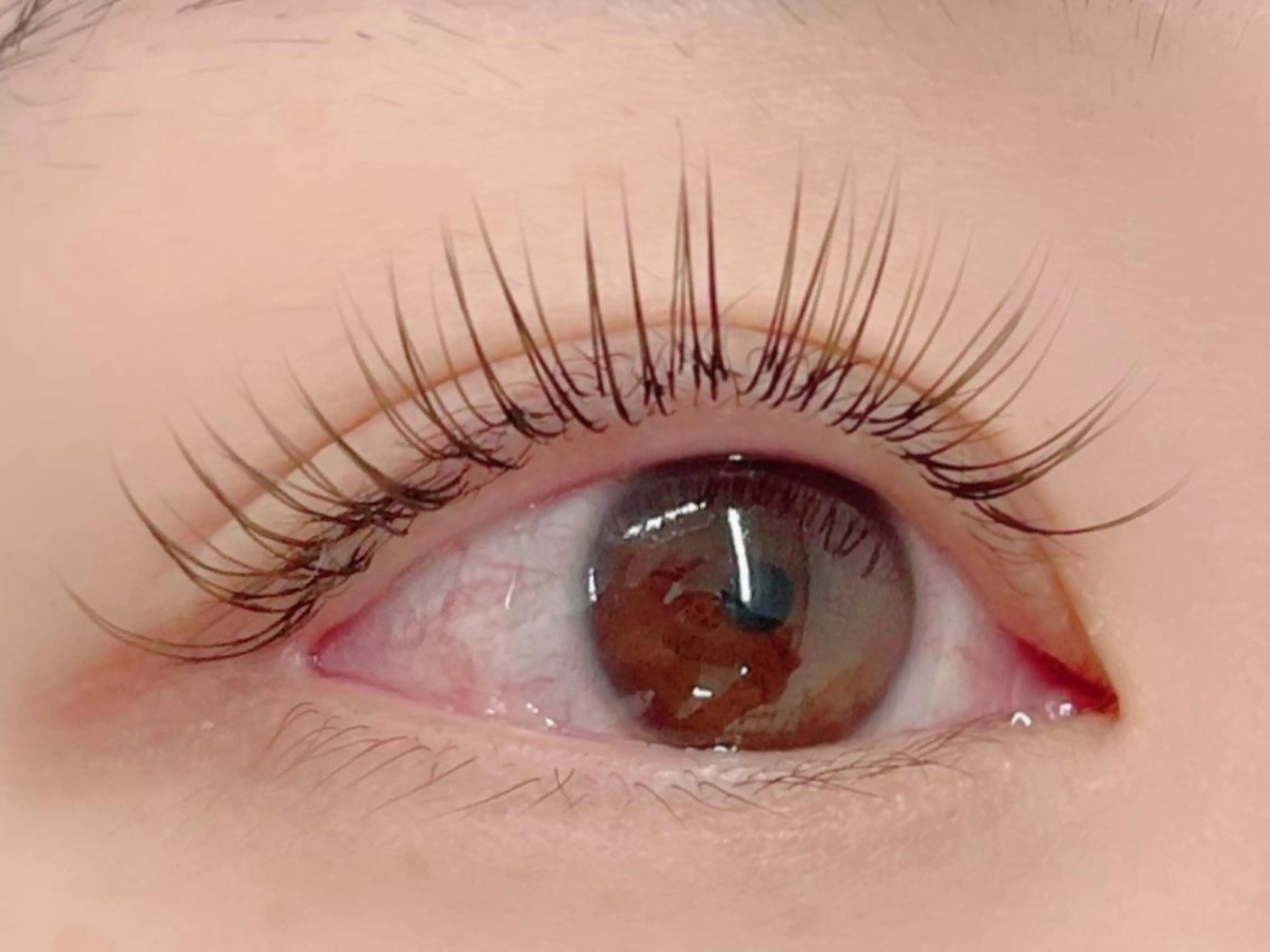 マツエク・マツパ Mian 津田沼のマツエク・マツパデザイン