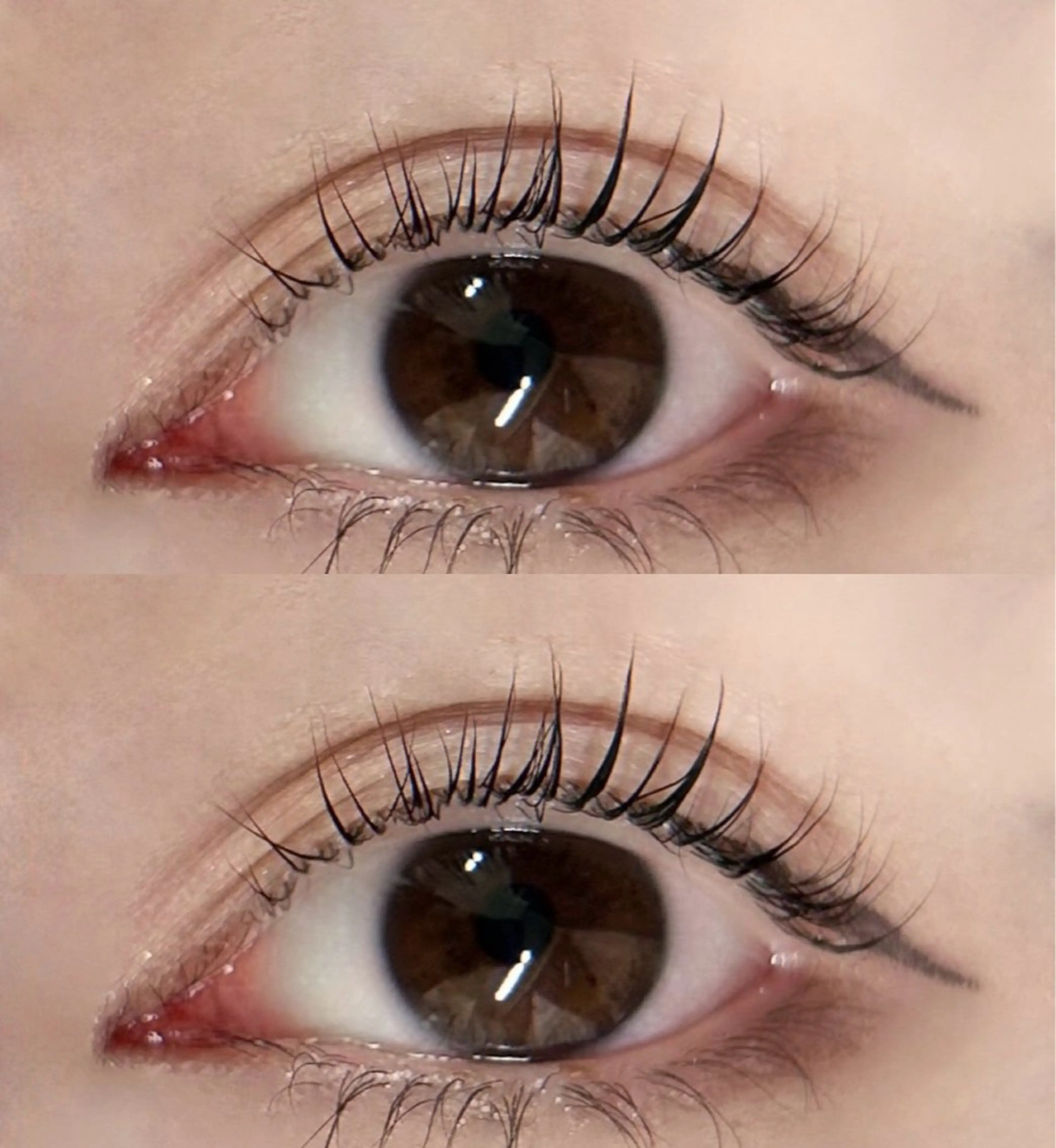 マツエク・マツパ サクラブロウ 村岡の眉毛・アイブロウイメージ