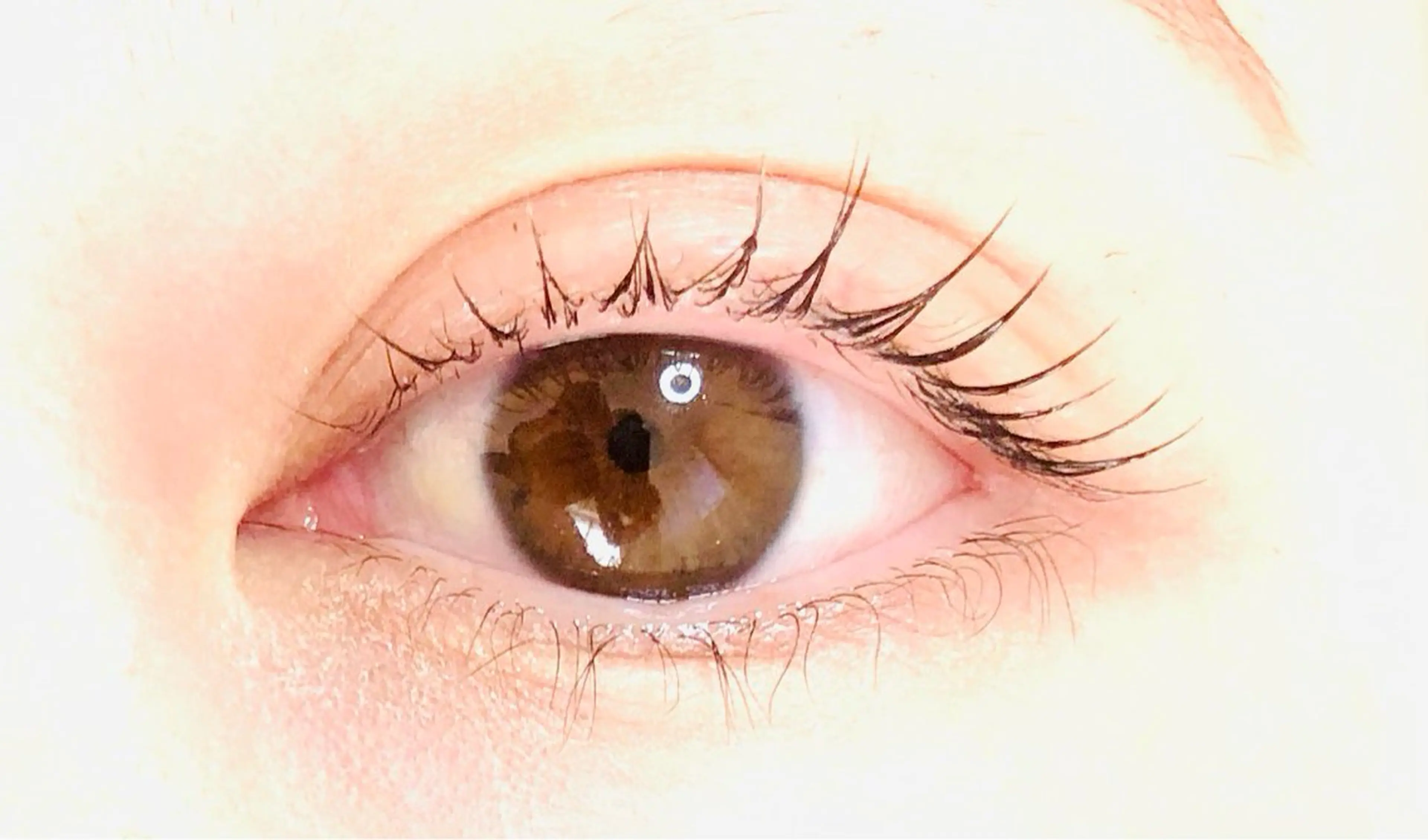 マツエク・マツパ ナチュラル BELINDA 24のマツエク・マツパデザイン