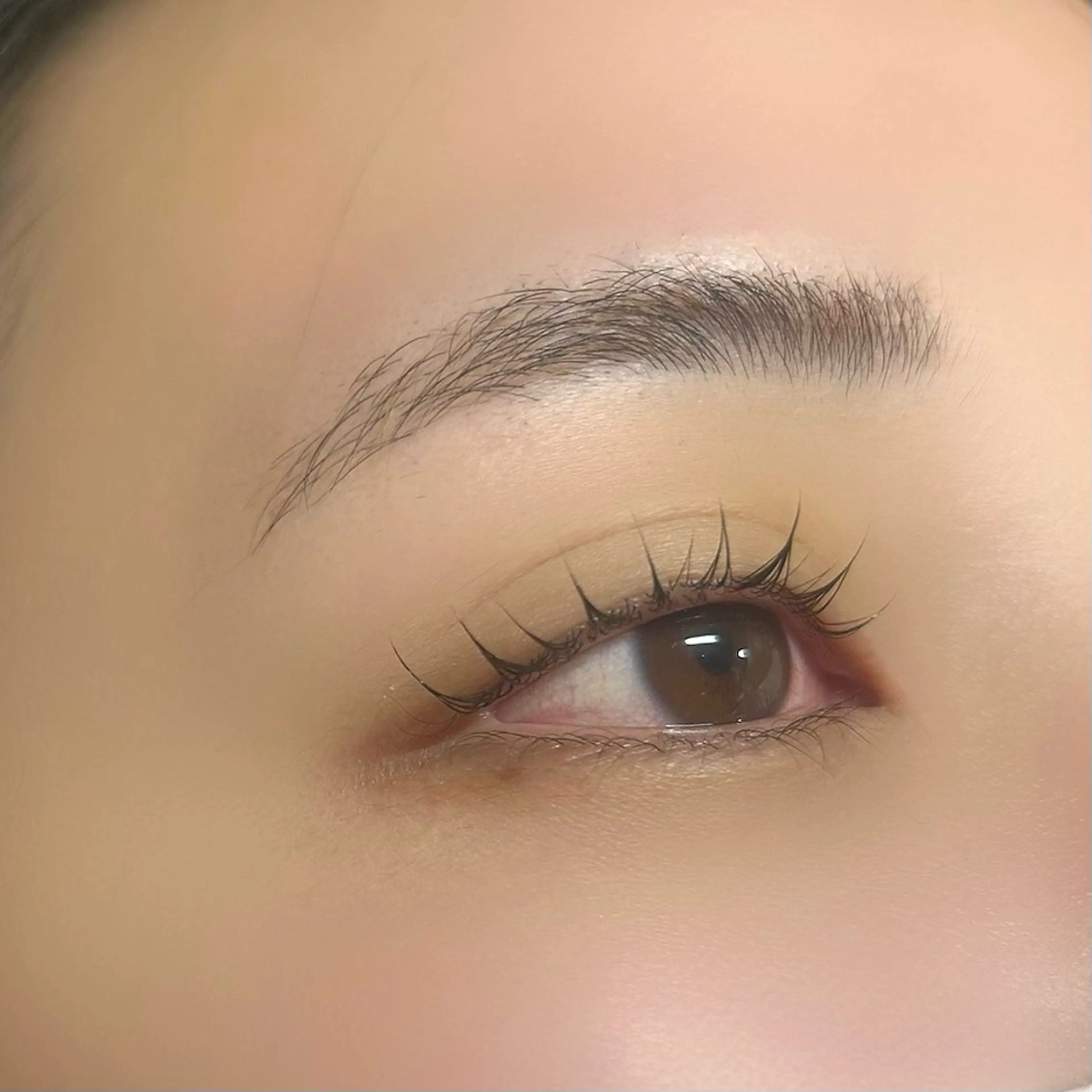 マツエク・マツパ 🌸アイリスト fujiwara🌸のマツエク・マツパデザイン