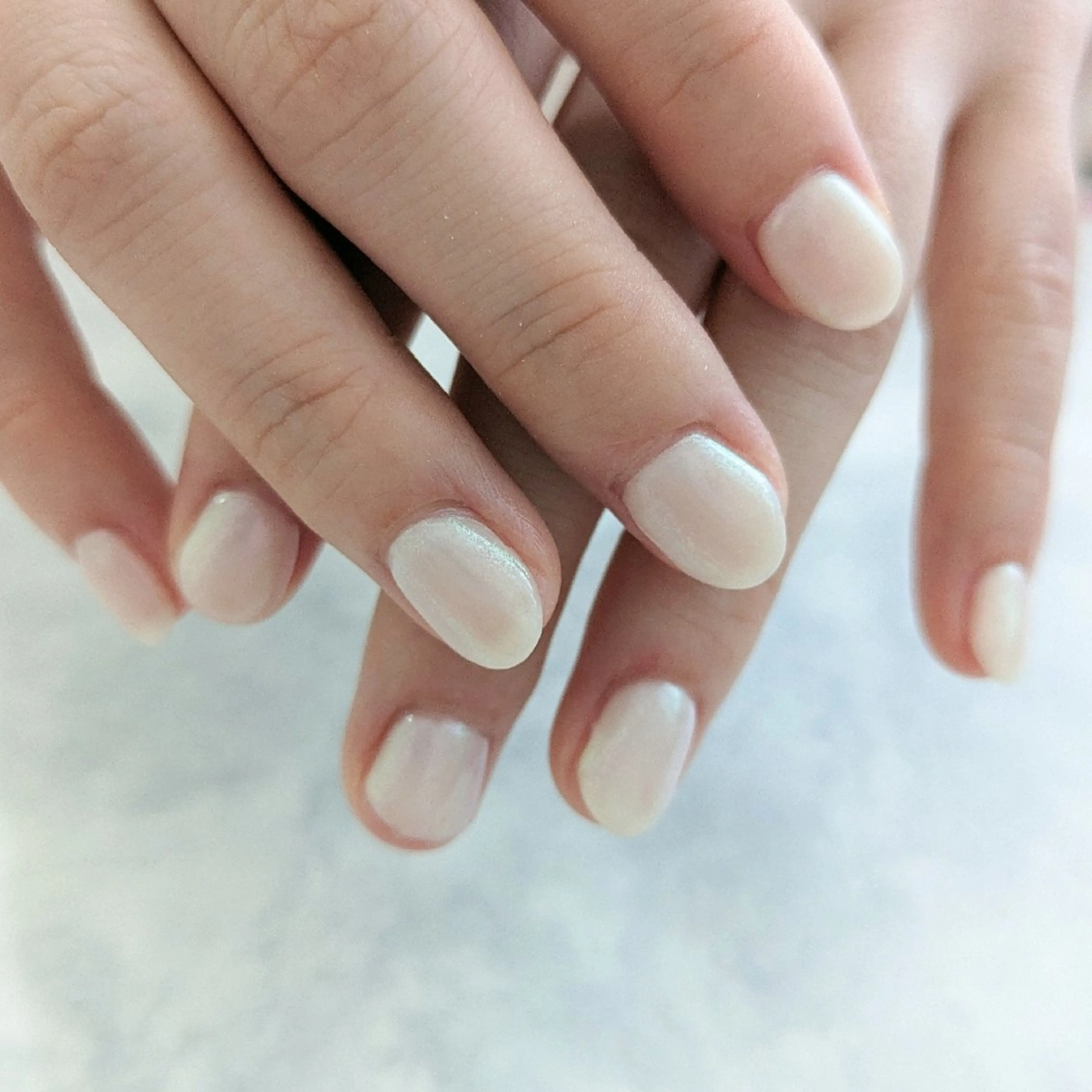 ネイル オーロラネイル ワンカラーネイル Gerbera Nailistのネイルデザイン