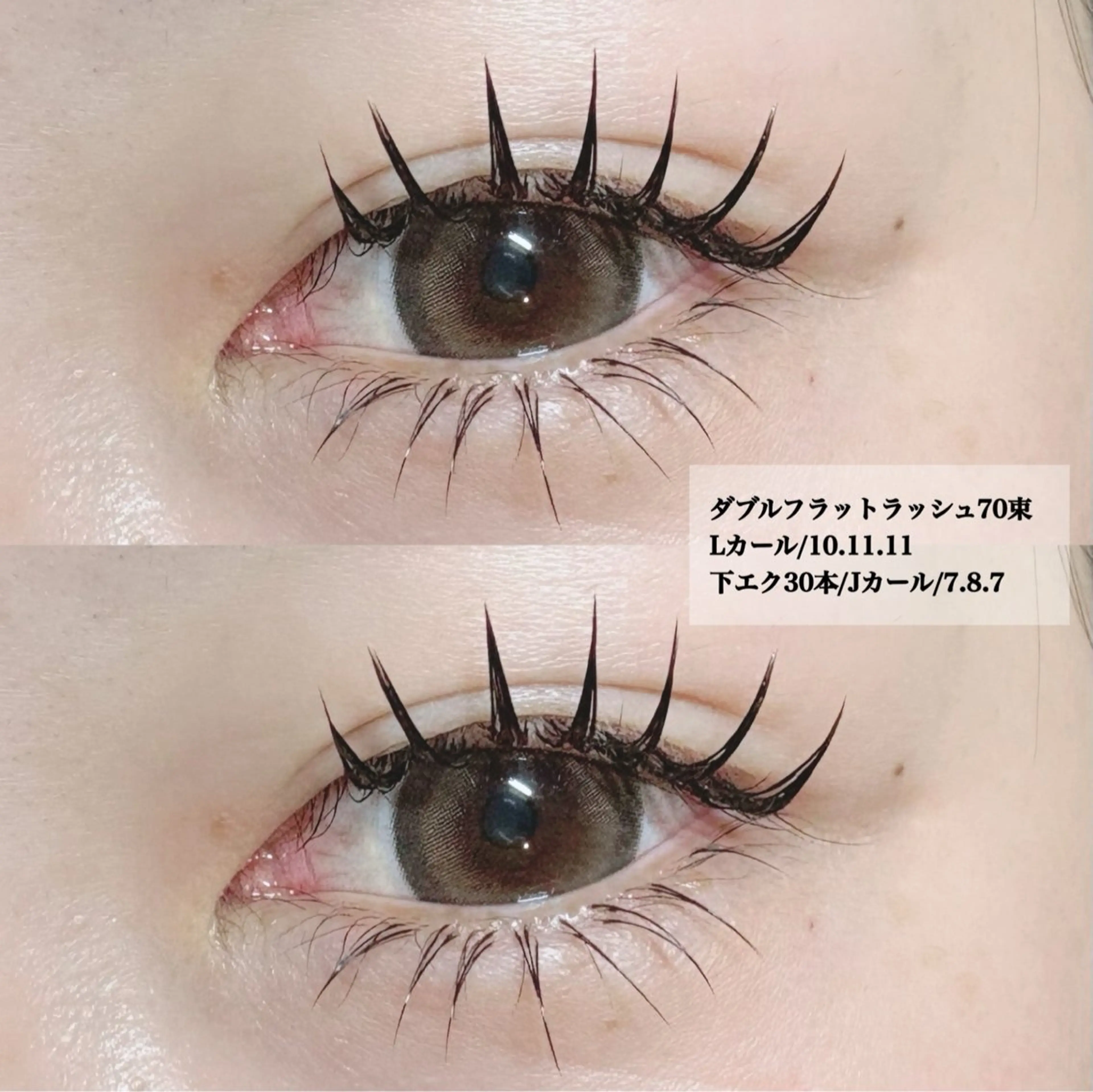 【🤎新導入キャンペーン価格🤎】ダブルフラット80束(160本)/束数変更🉑/LEDオフ別途+550円の写真