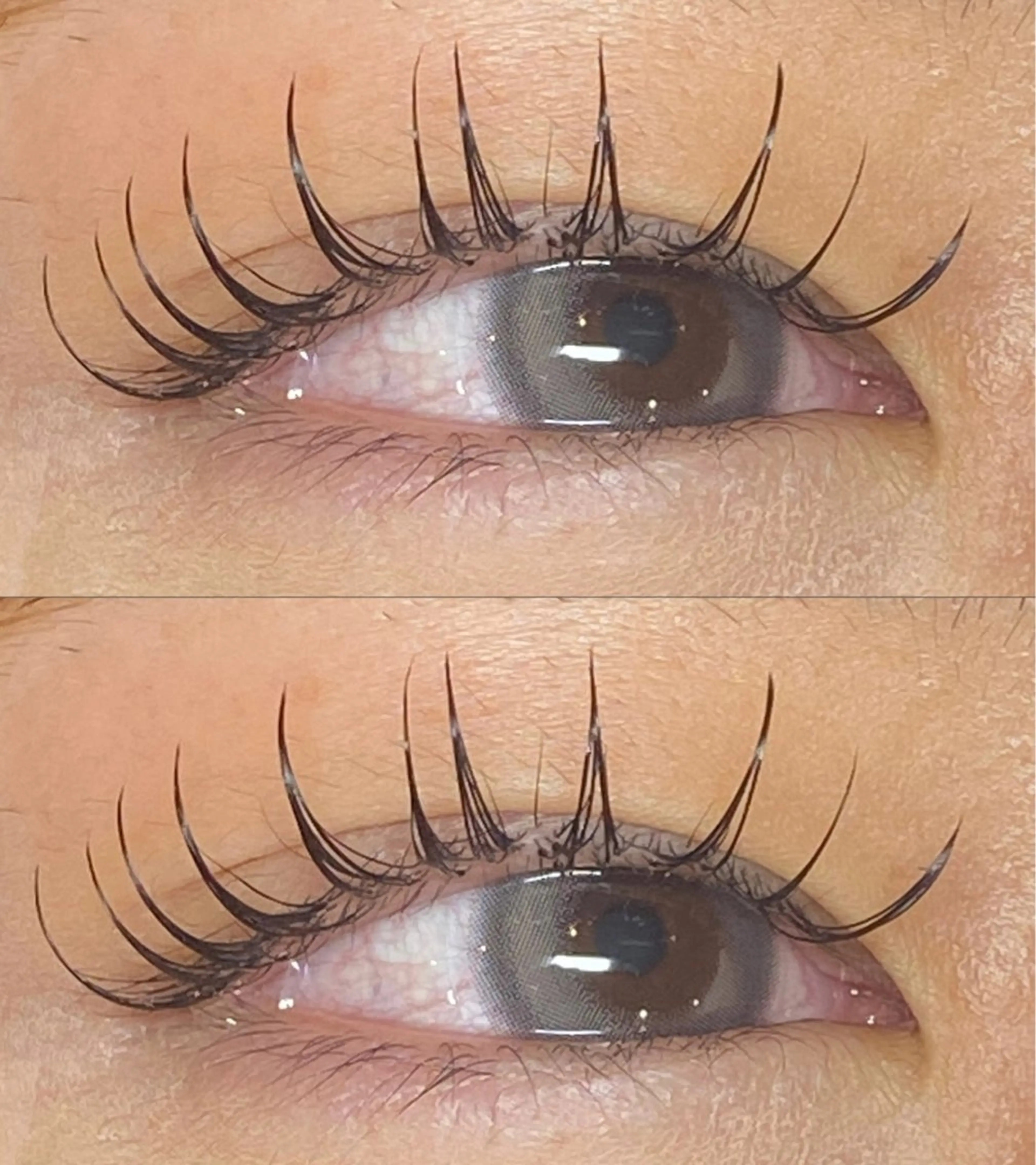 マツエク・マツパ マツエク eyelist🌹 Harunaのマツエク・マツパデザイン