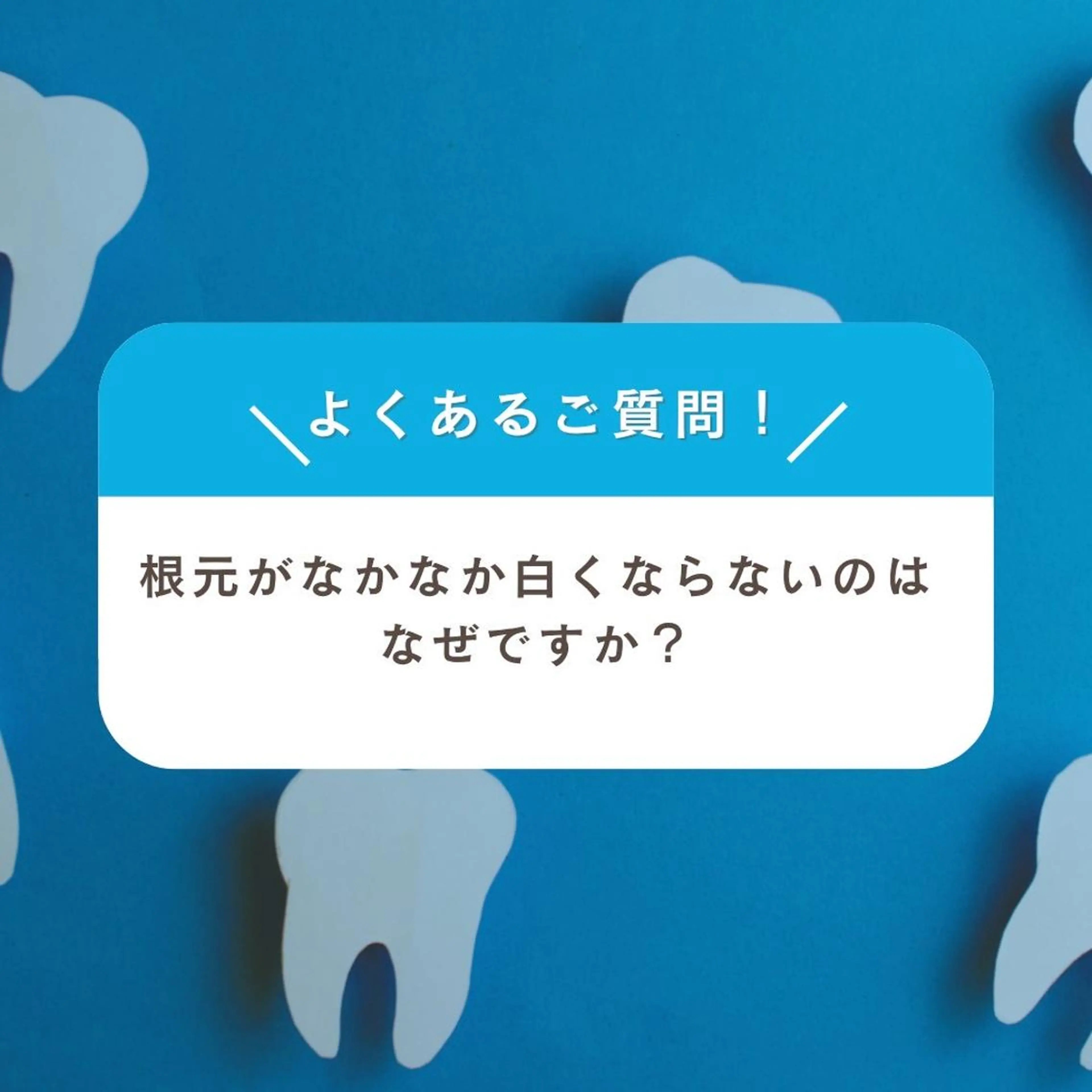 メンズ その他 ホワイトニング ショップ千葉店のその他イメージ