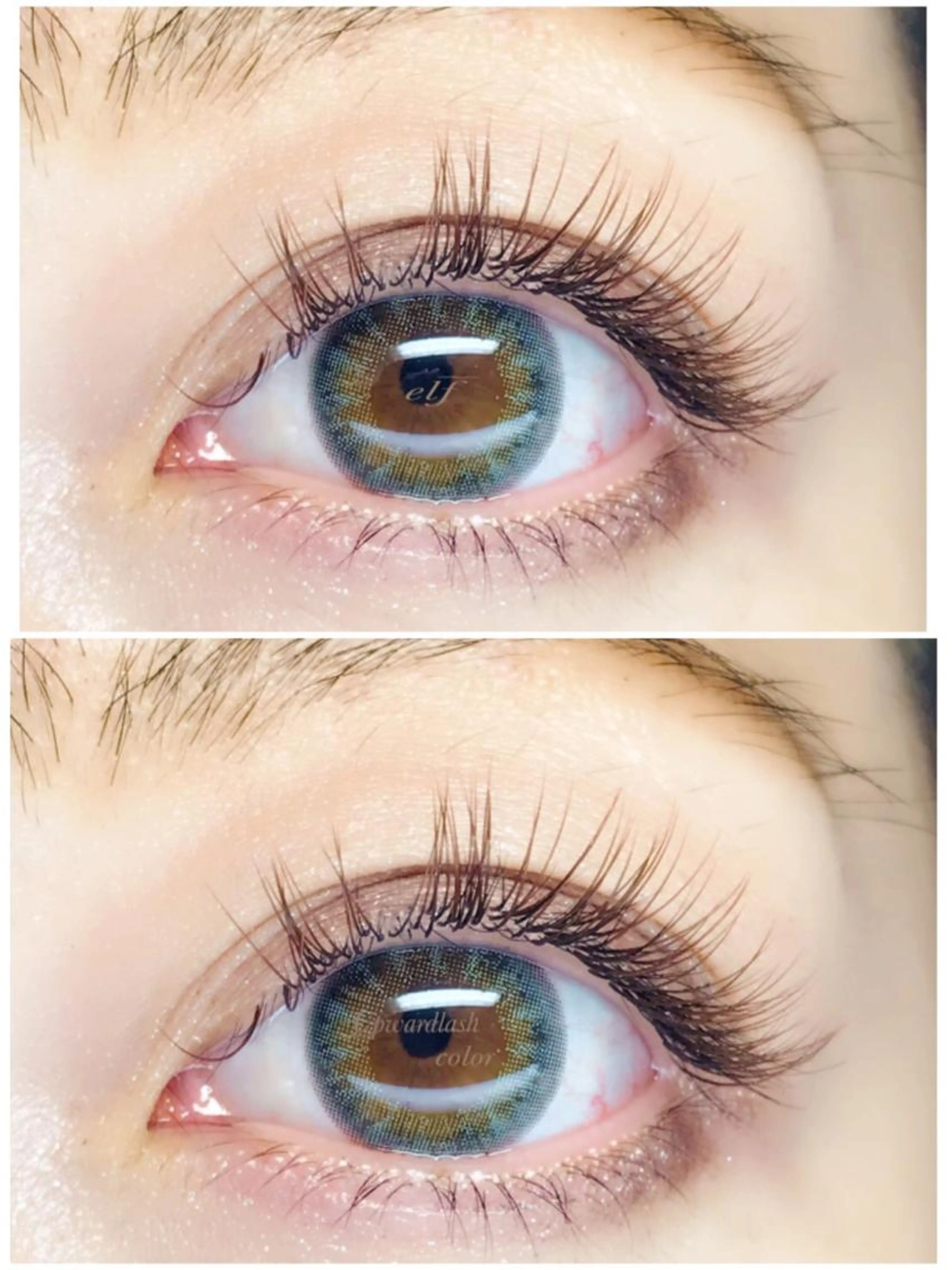 オールブラウン120本の写真