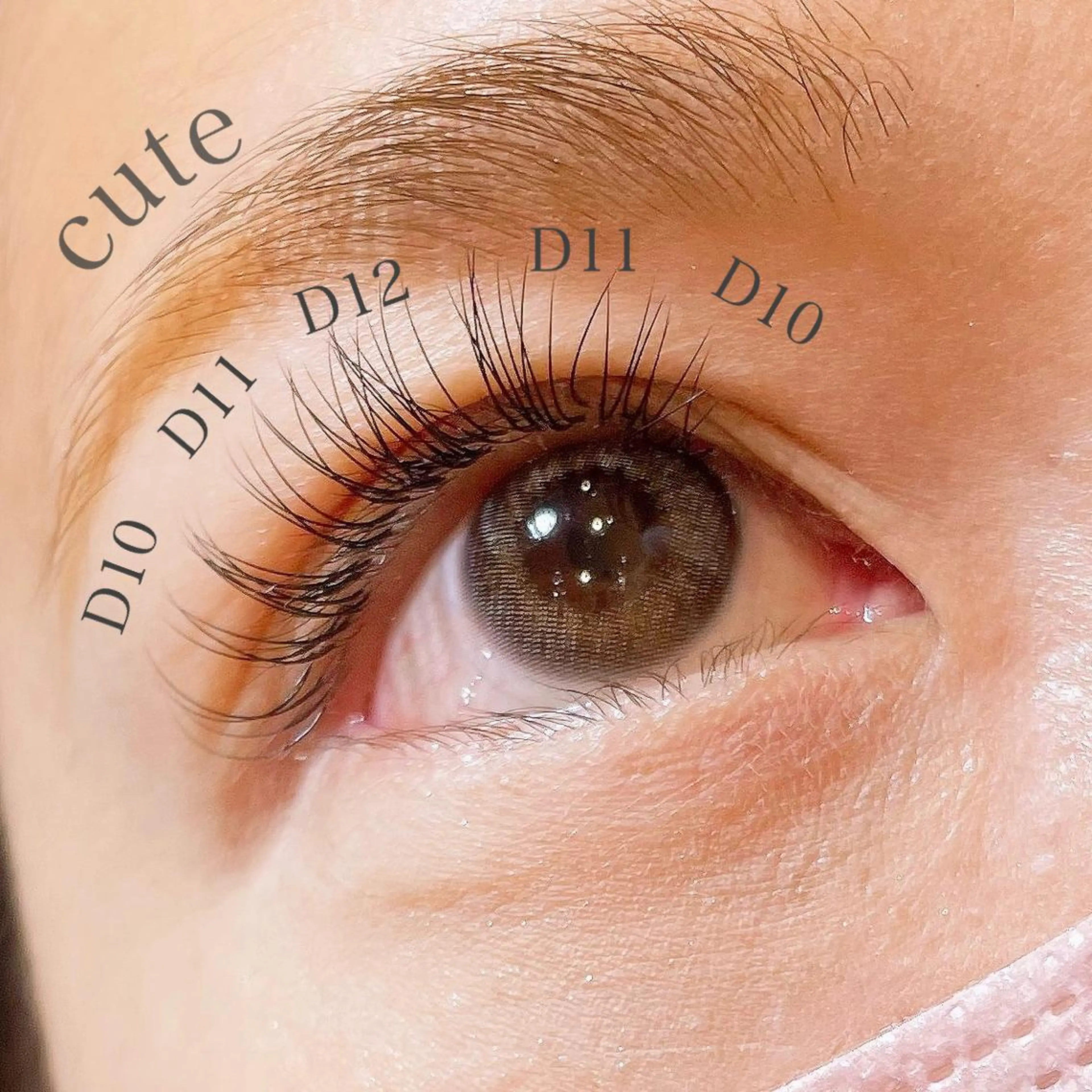 マツエク・マツパ キュート Dカール 玉木 愛の眉毛・アイブロウイメージ