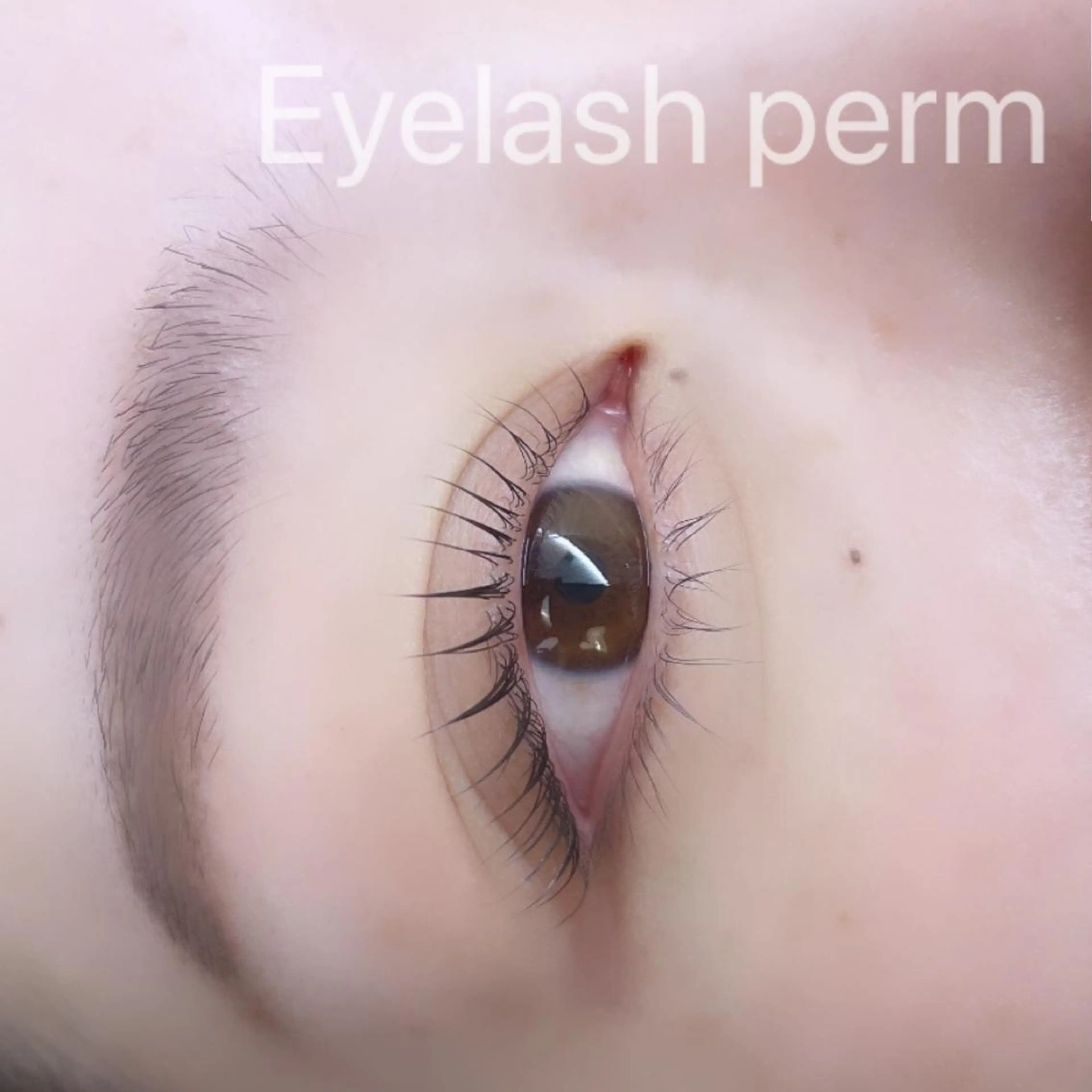 マツエク・マツパ Sylph　井関 唯のマツエク・マツパデザイン