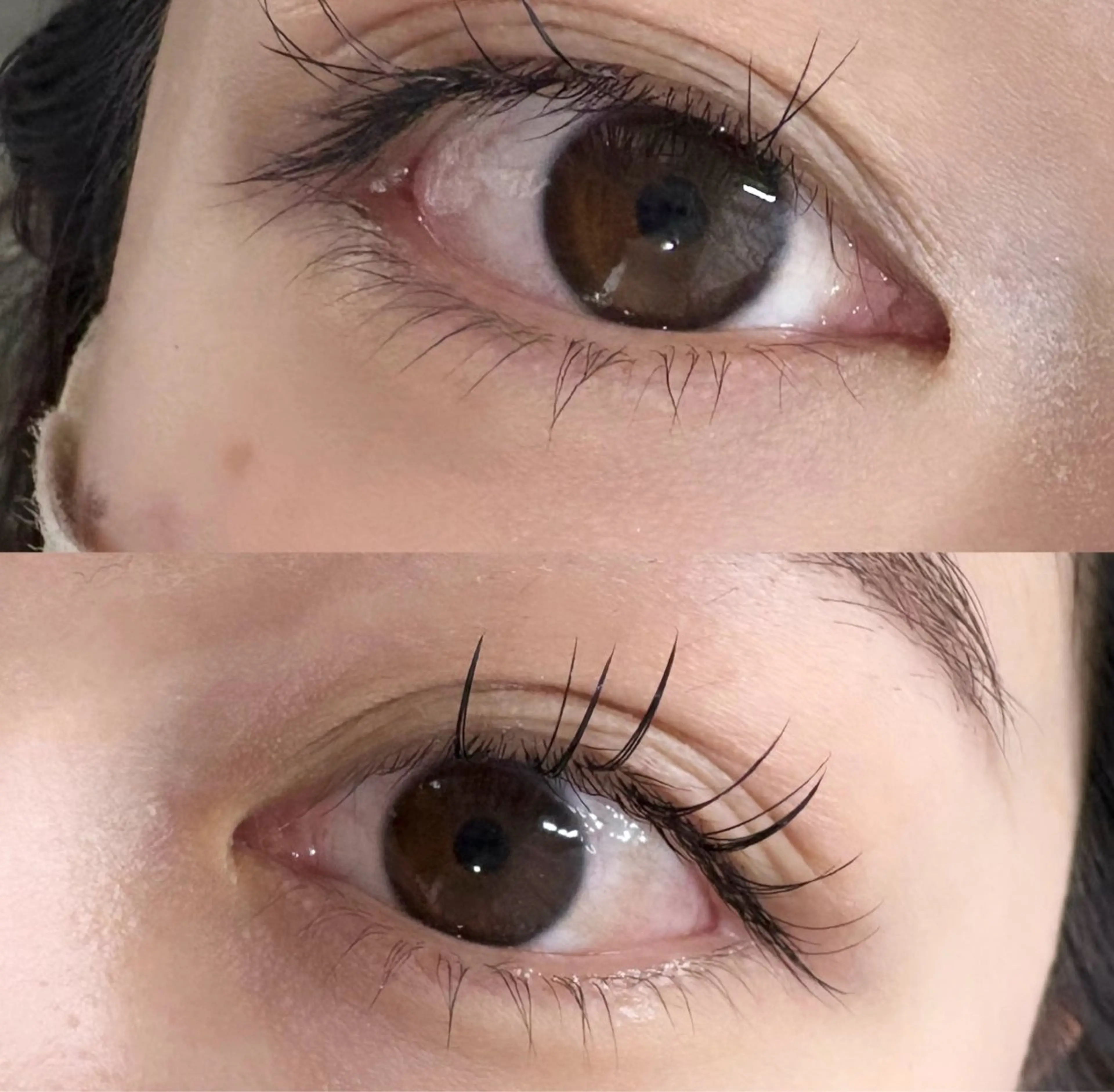 マツエク・マツパ 下まつげエクステ 一重×まつ毛パーマ マツエク Holus Moriguchiのマツエク・マツパデザイン