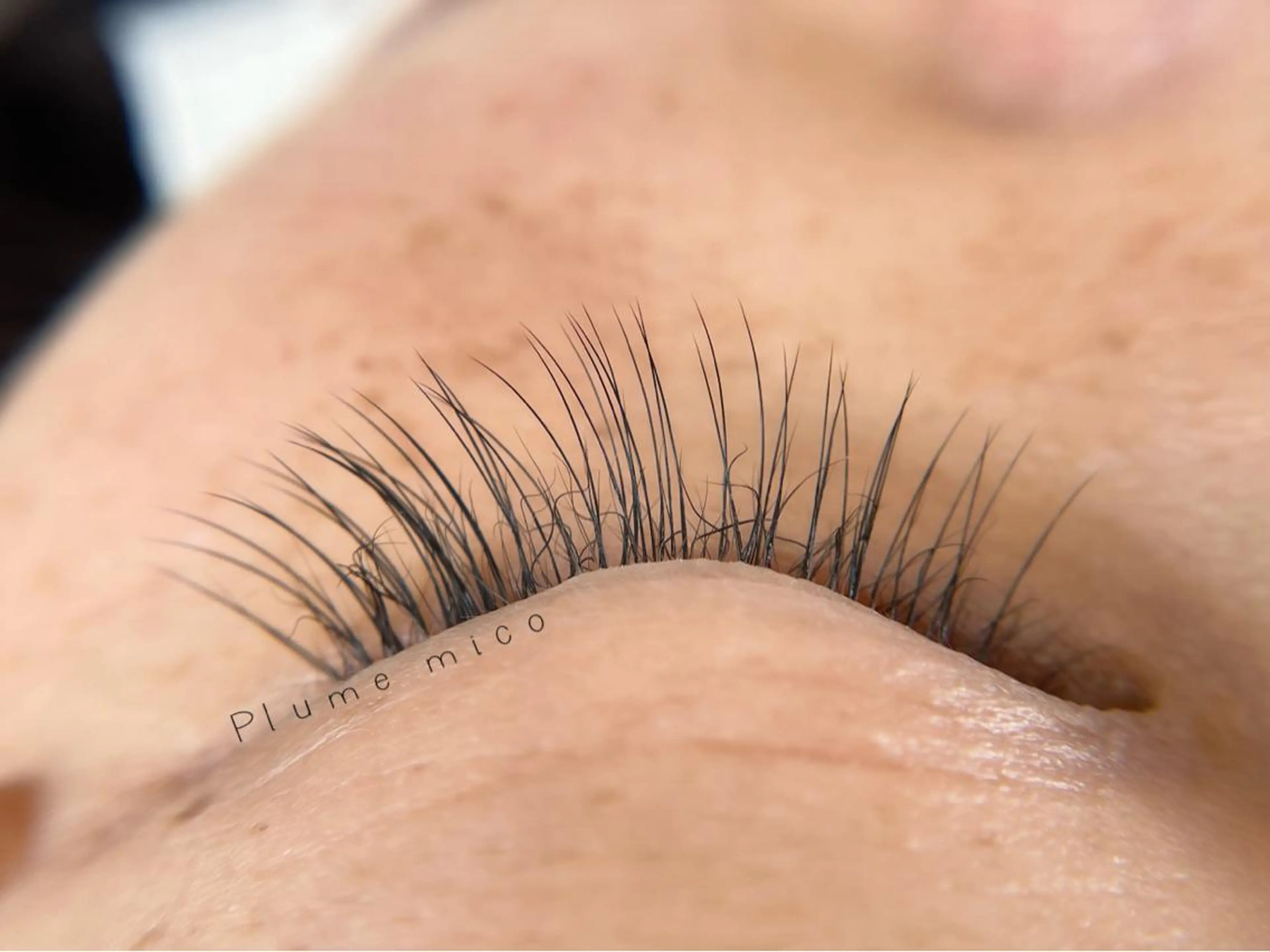 マツエク・マツパ マツエク Plume micoのマツエク・マツパデザイン