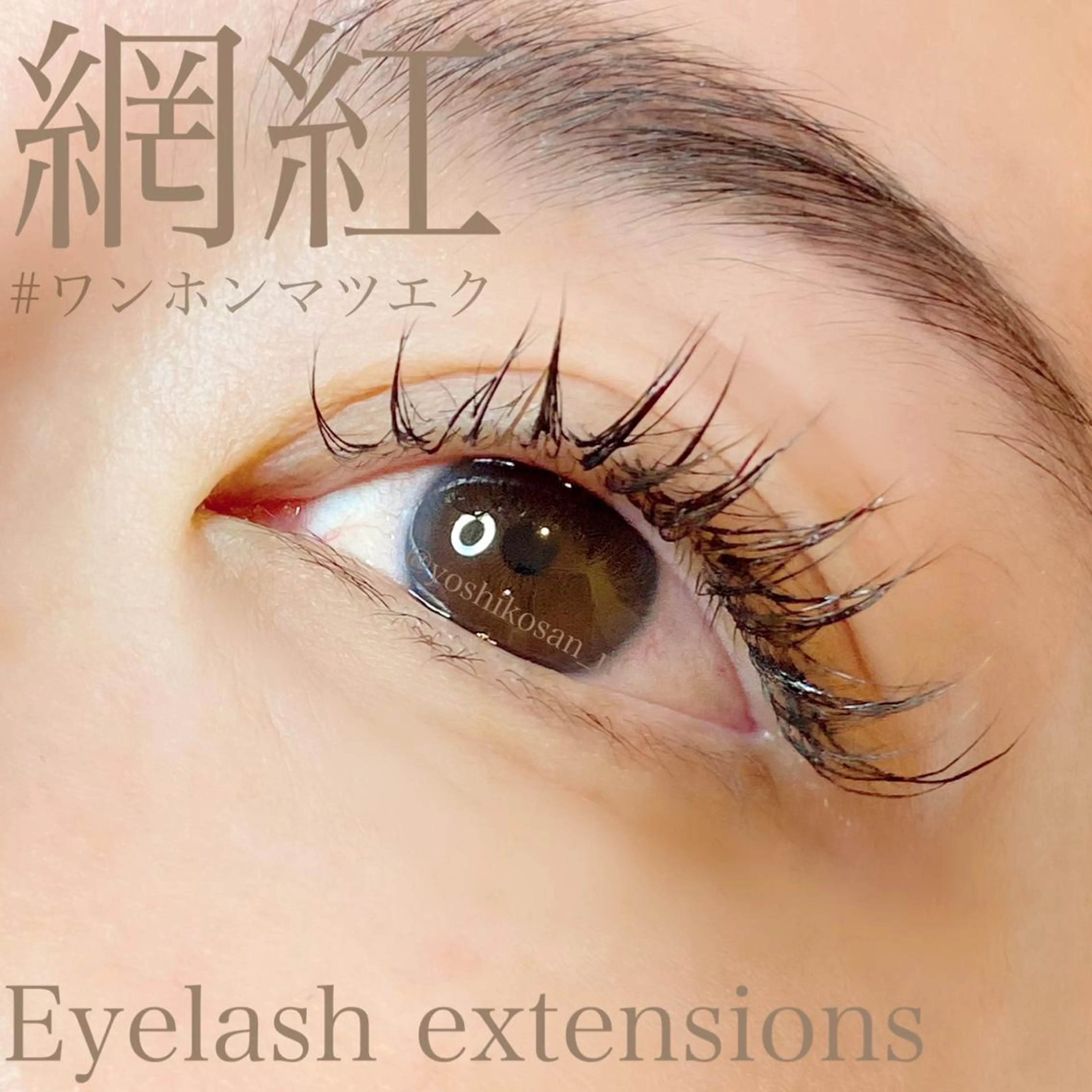 マツエク・マツパ マツエク Pixie Bob 🐈‍⬛　位田のマツエク・マツパデザイン