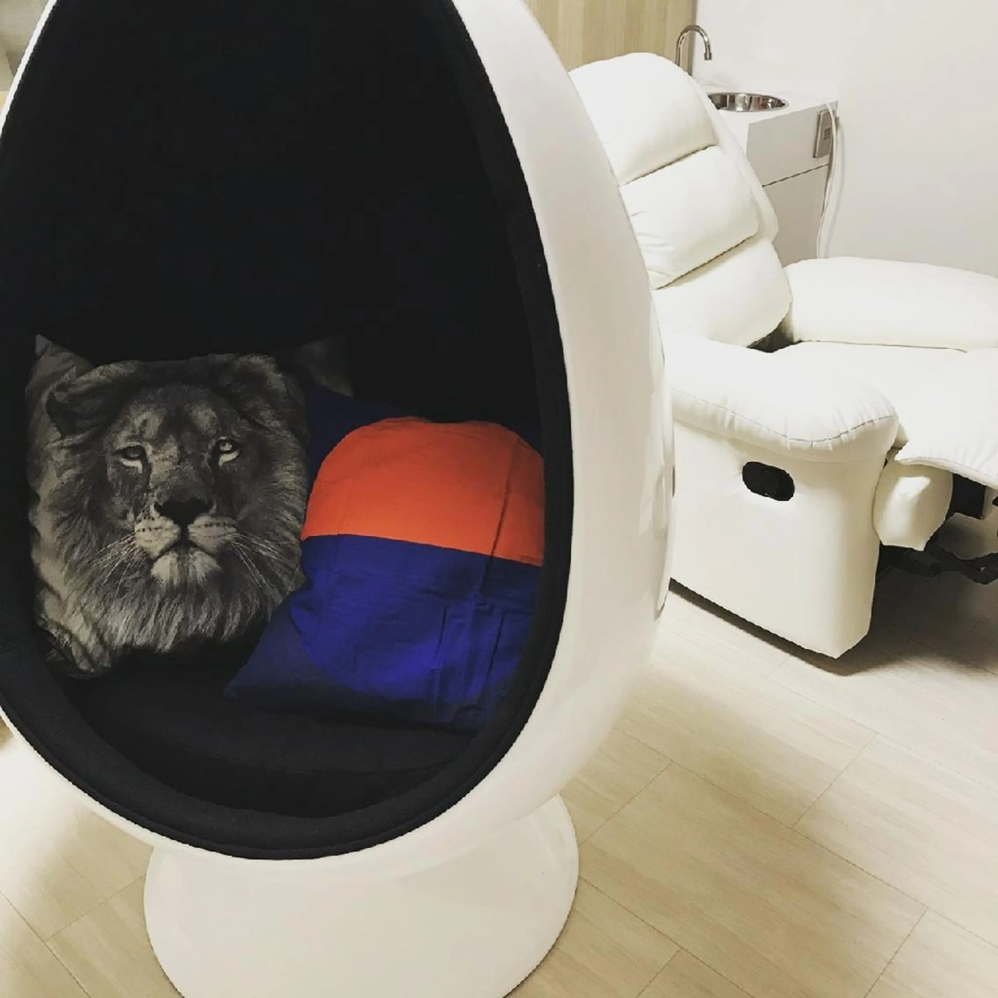 五十嵐 蓮のその他イメージ