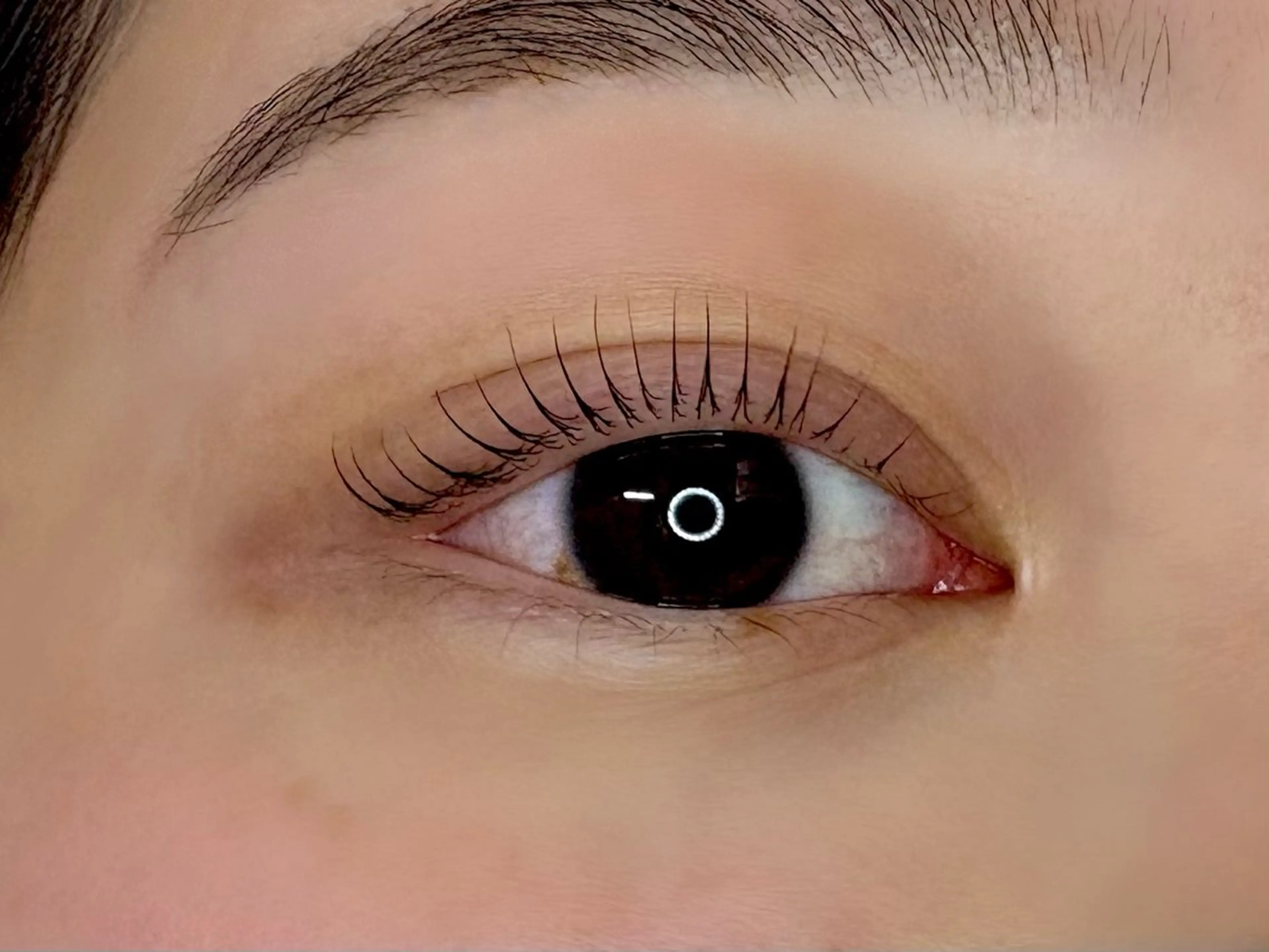 マツエク・マツパ マツパ Lupinus 長澤のマツエク・マツパデザイン