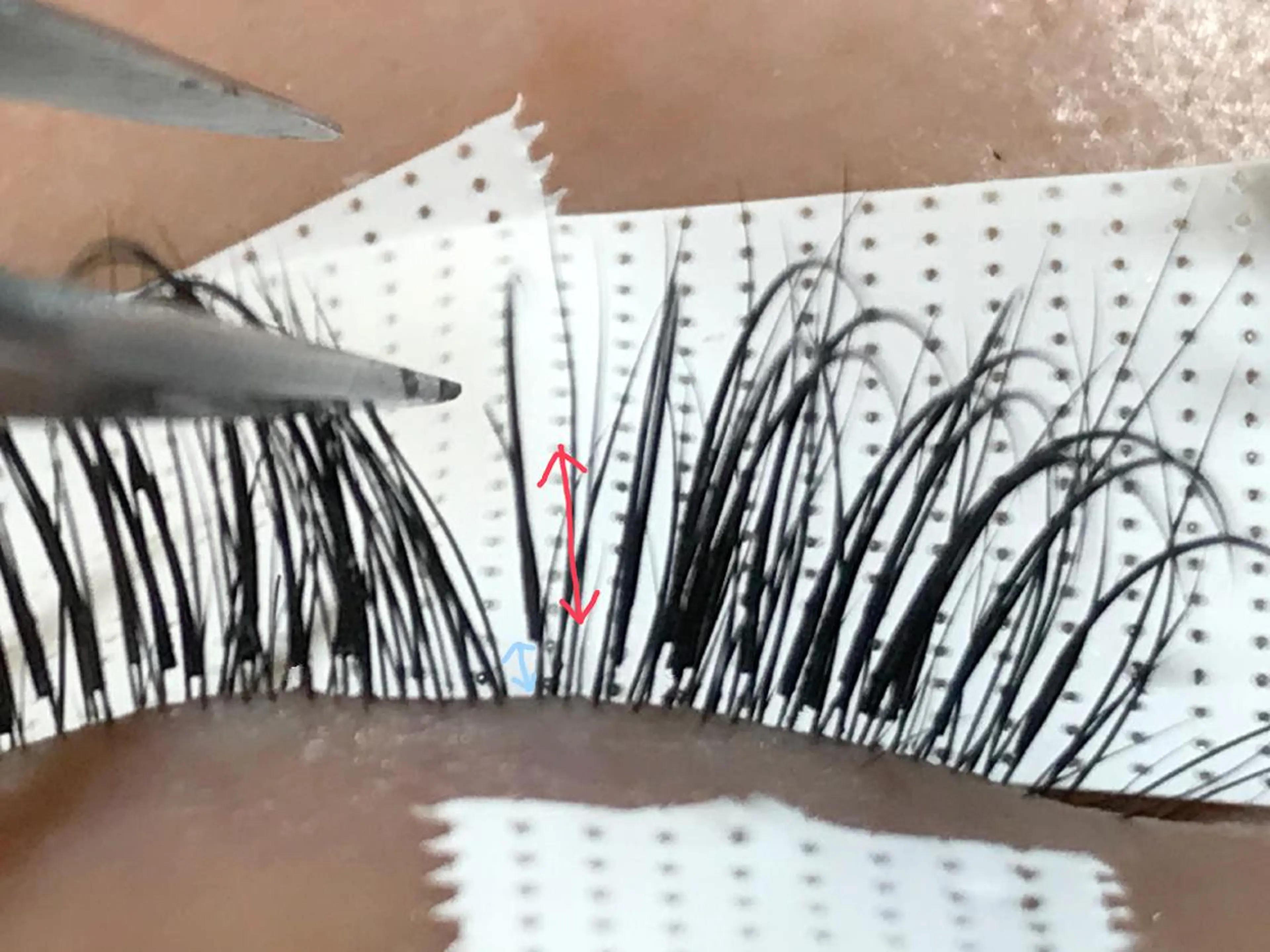 マツエク・マツパ Dカール eyelash sa lon Natureのマツエク・マツパデザイン