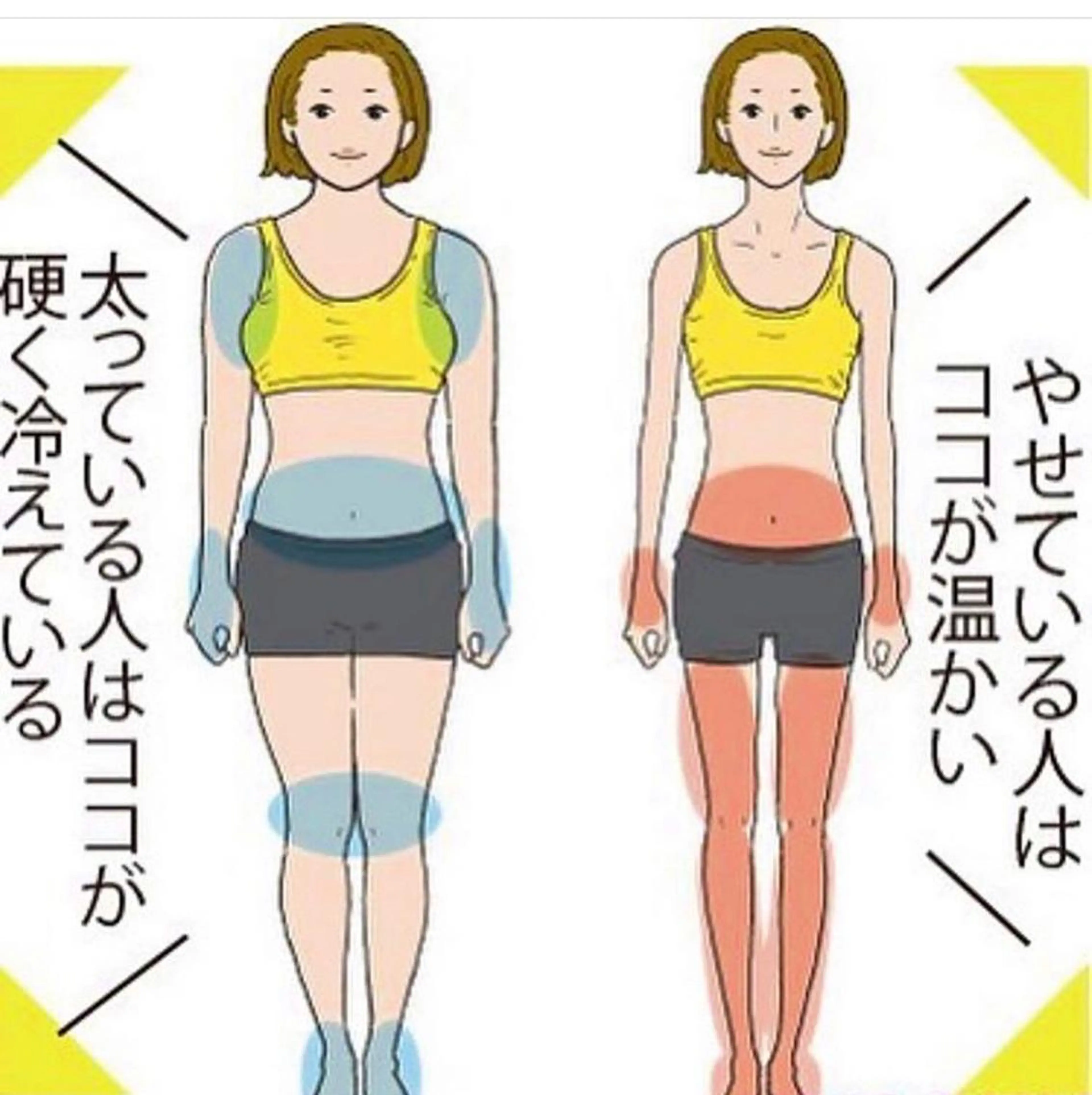 ショート カラー パーマ ヘアアレンジ メンズ キッズ ネイル マツエク・マツパ エステ リラク ‍痩身＆ボディ 結果出し🌟丹野のエステ・リラクイメージ