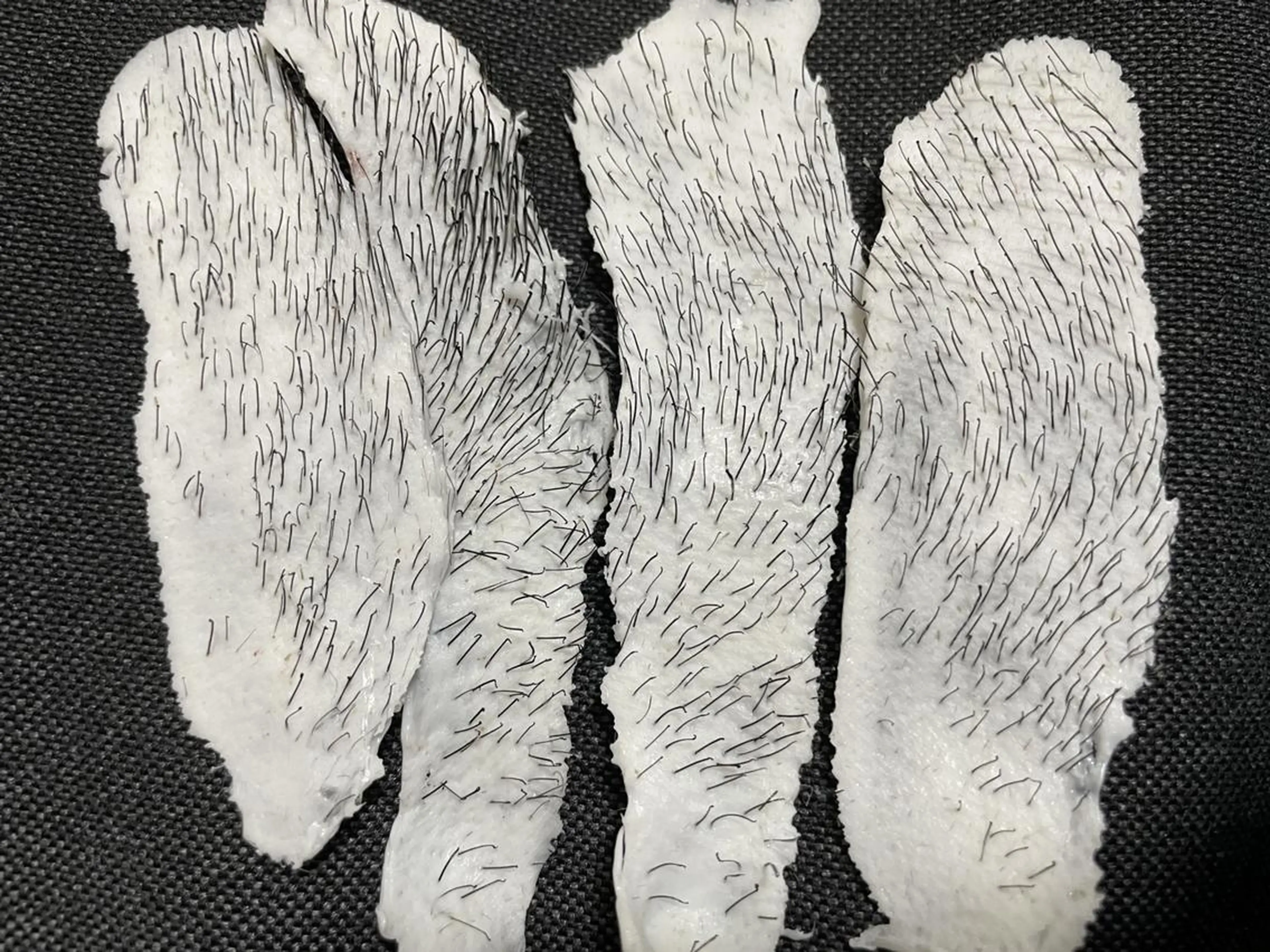 脱毛 Epina 千葉店 【エピナ】のエステ・リラクイメージ