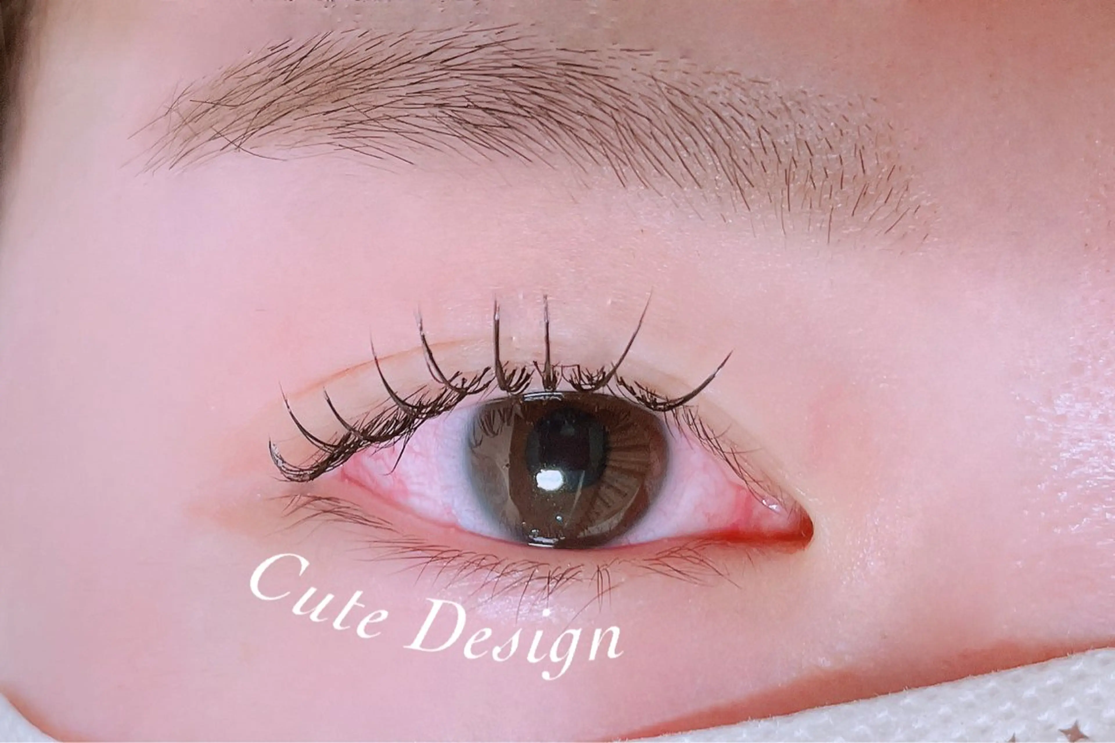 マツエク・マツパ マツエク Ayumi.dre 🌸Y《2階》のマツエク・マツパデザイン