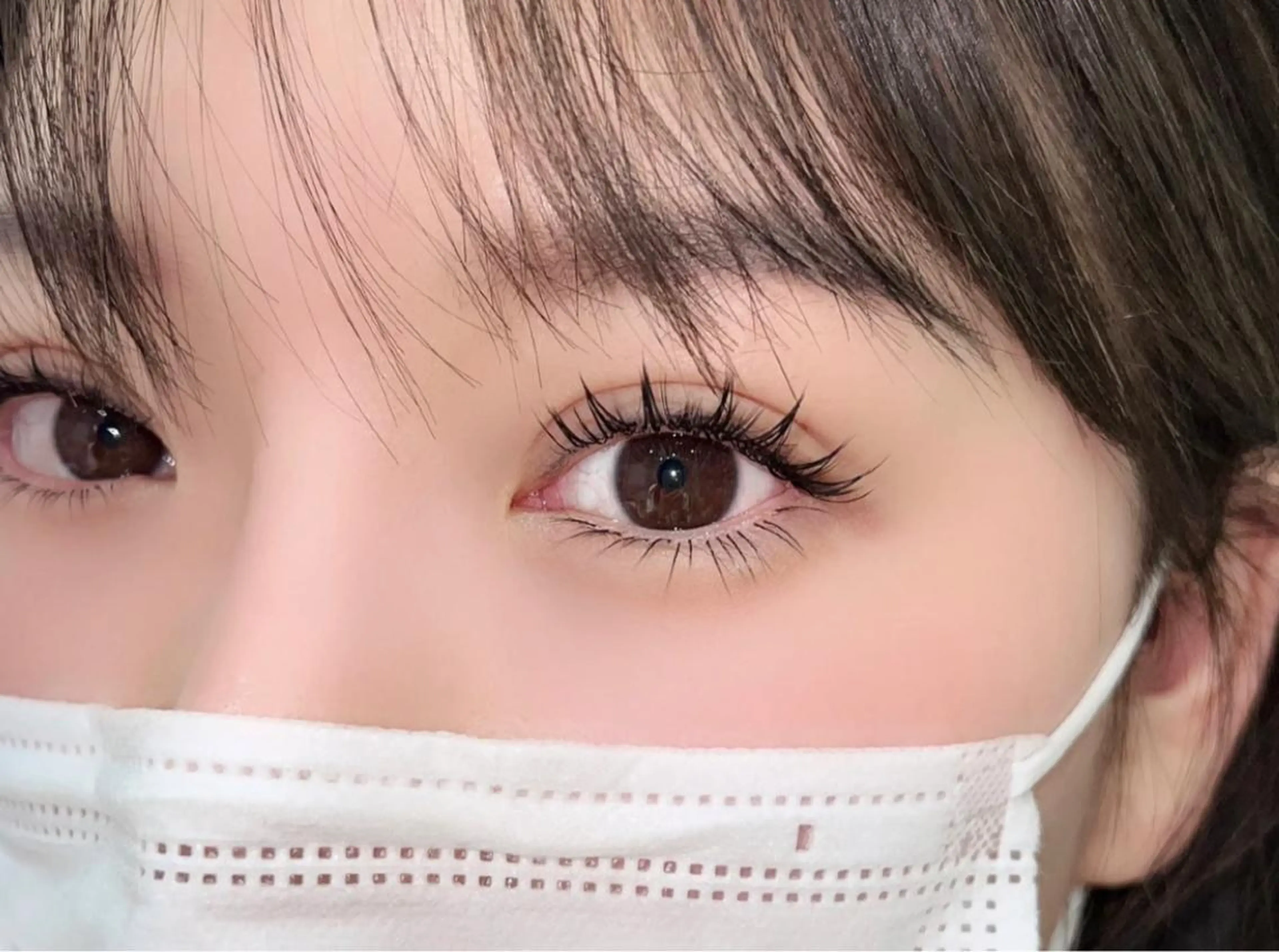 【中華ナチュラルワンホン】フラットラッシュ120本 【✨LED＋1200円✨】の写真