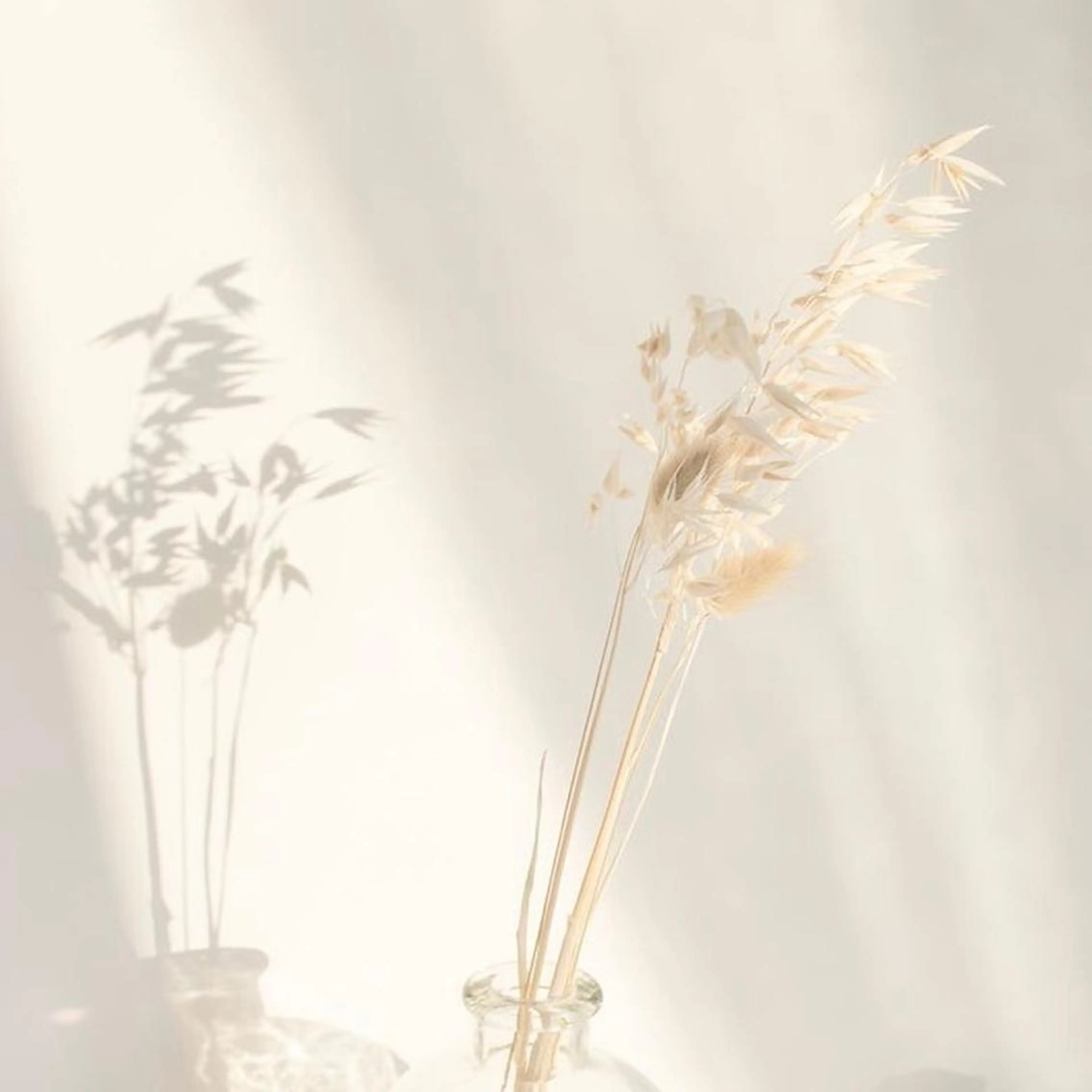 マツエク・マツパ カット ヘアカラー トリートメント 似合わせカット暖色 カラーhiyonaのヘアスタイル