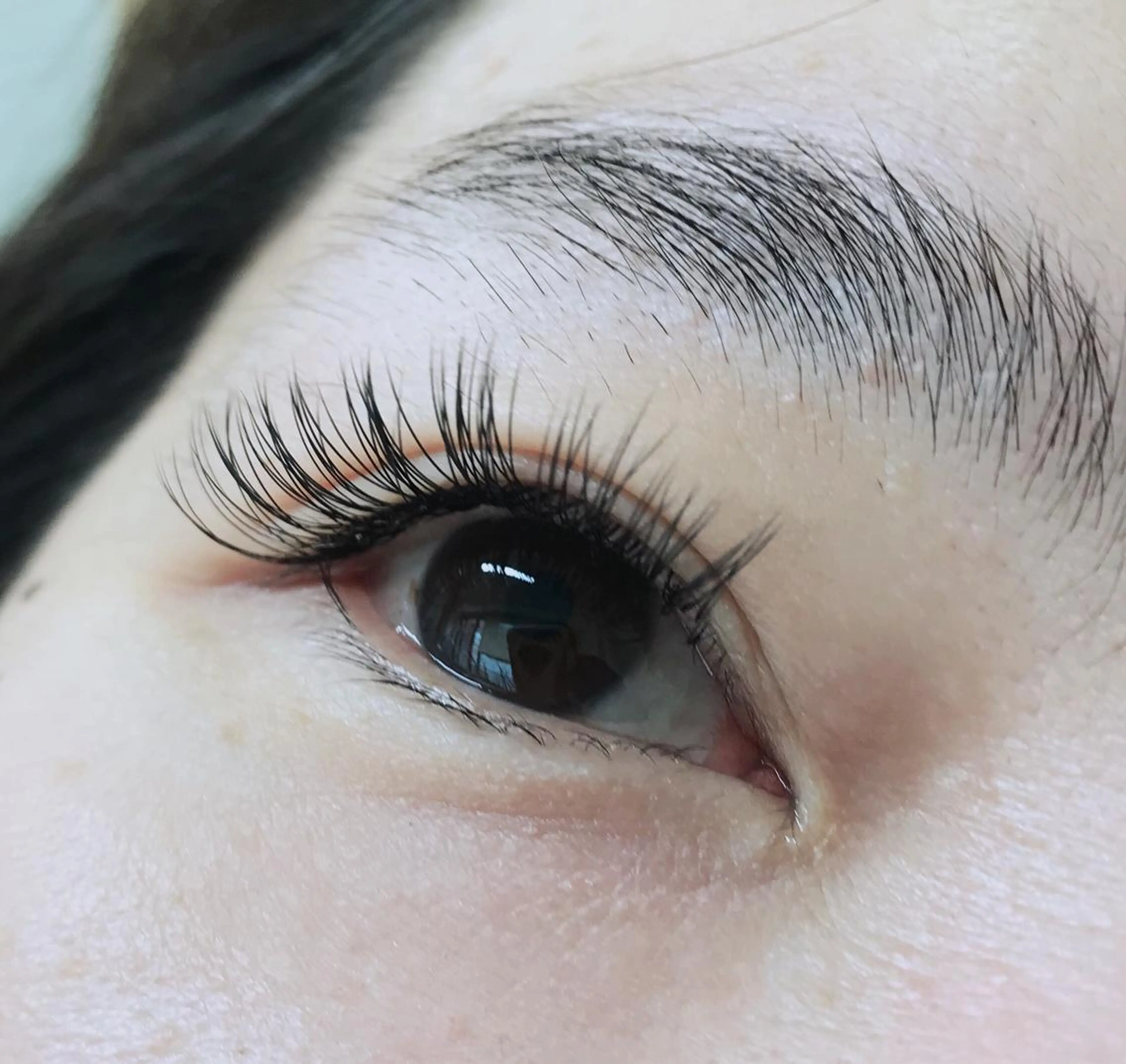 マツエク・マツパ Dカール フラットラッシュ 杉本 ＆Eyesのマツエク・マツパデザイン