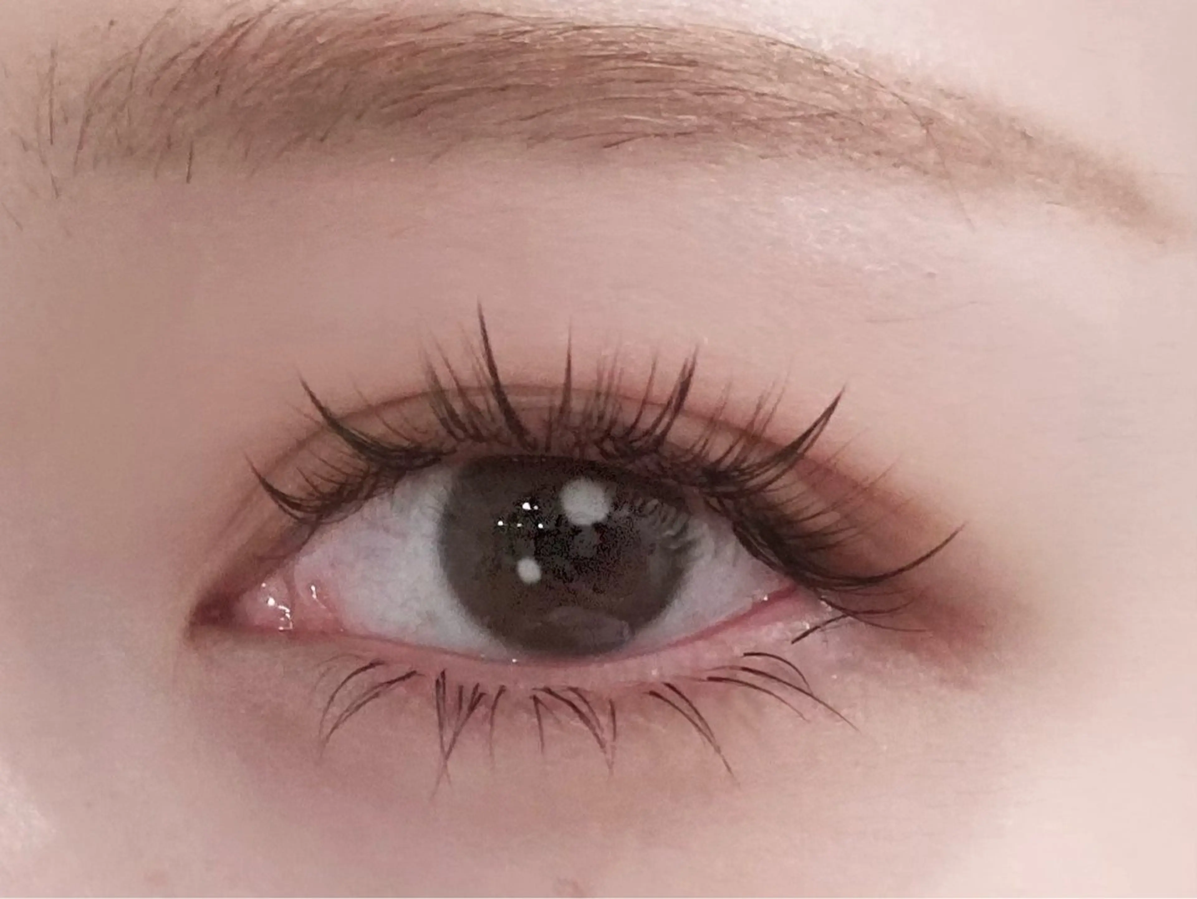 マツエク・マツパ マツエク ARLYS_茅ヶ崎 LEDエク/マツパのマツエク・マツパデザイン