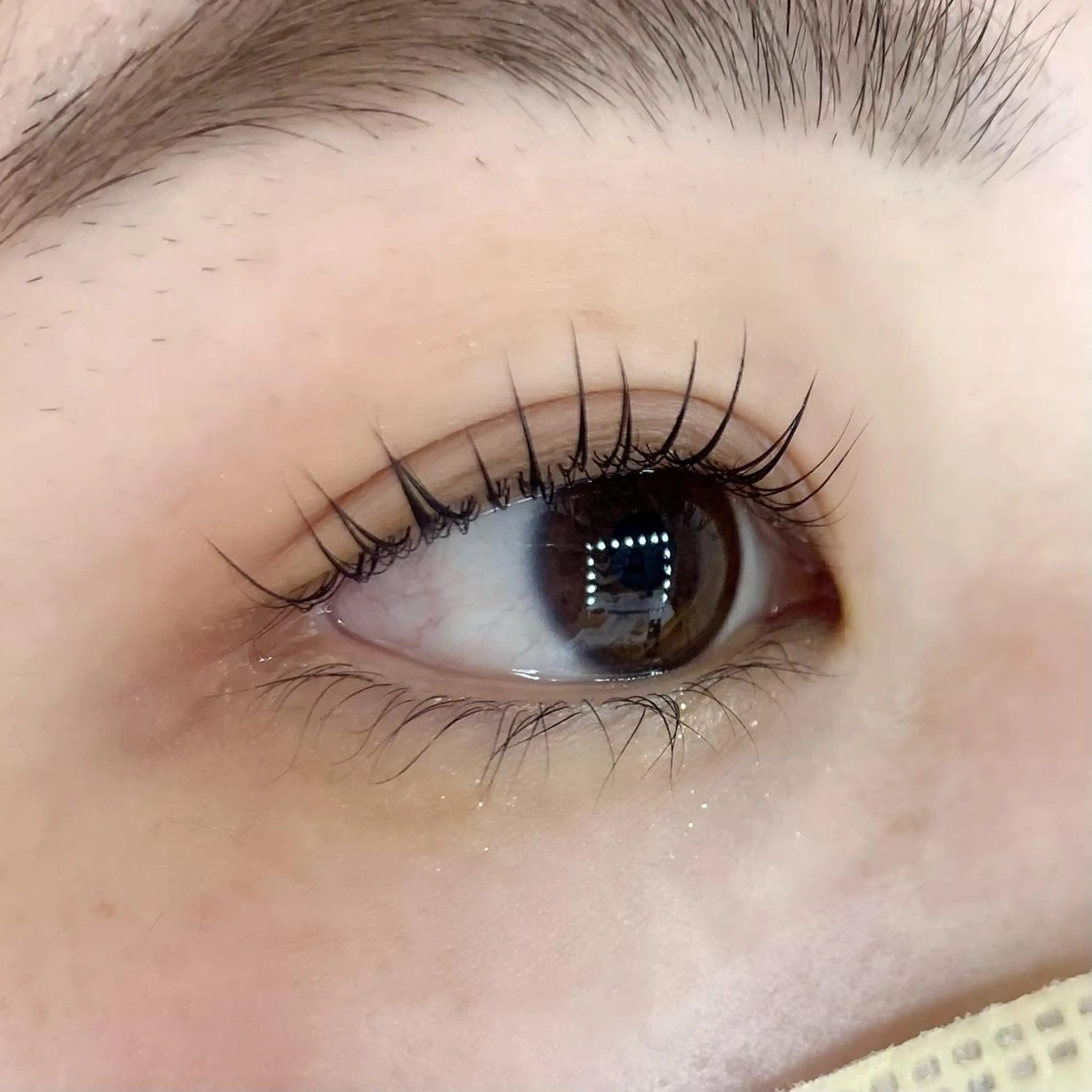 マツエク・マツパ パリジェンヌラッシュリフト Celeste Venus所属・🧸Celeste Venusのマツエク・マツパデザイン