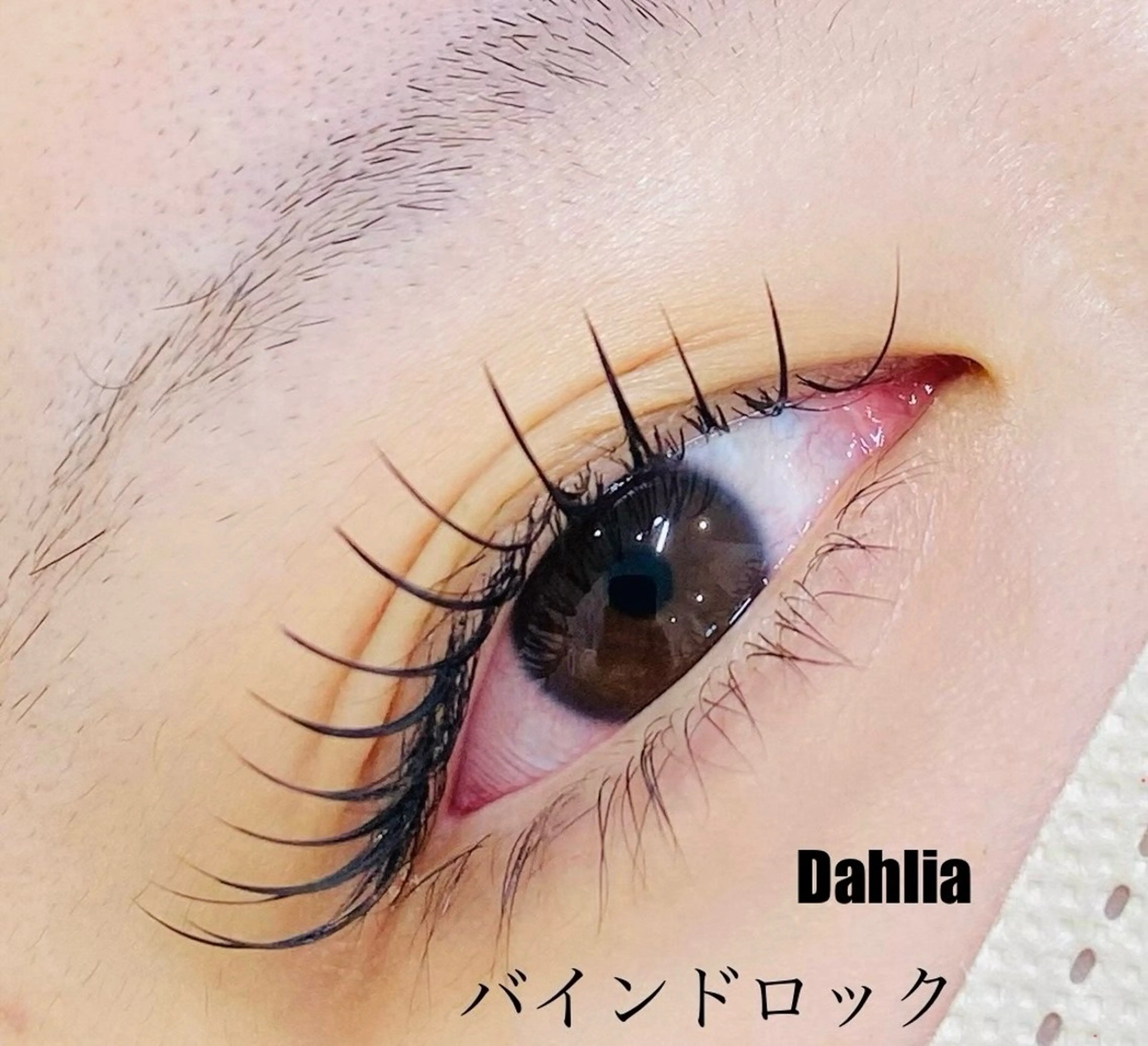 マツエク・マツパ バインドロック マツエク Dahlia ダリア Makiのマツエク・マツパデザイン