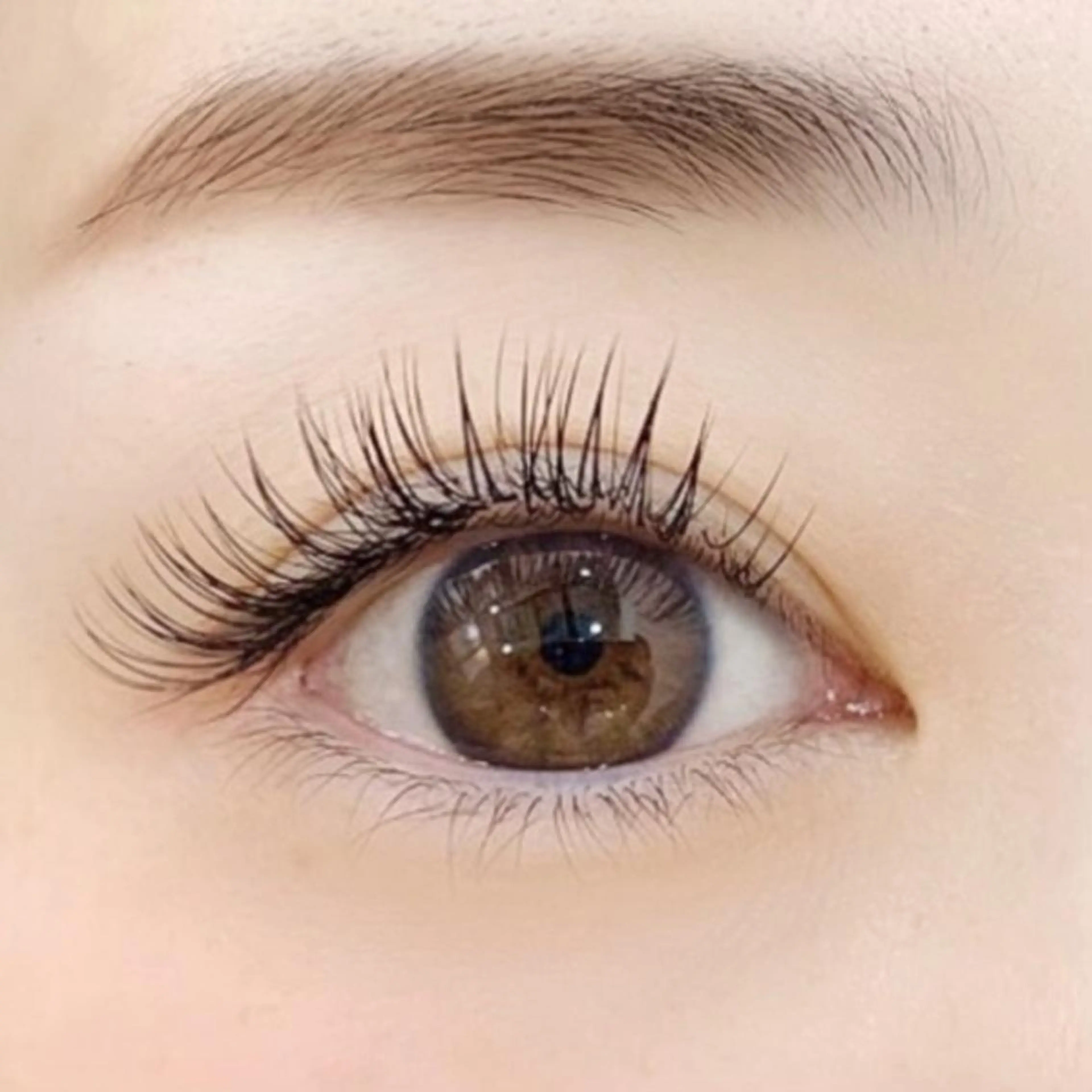 お得すぎ♪【ミニモ限定メニュー】バインド80束＋下まつ毛1０本お得なメニューLED変更＋500円！の写真