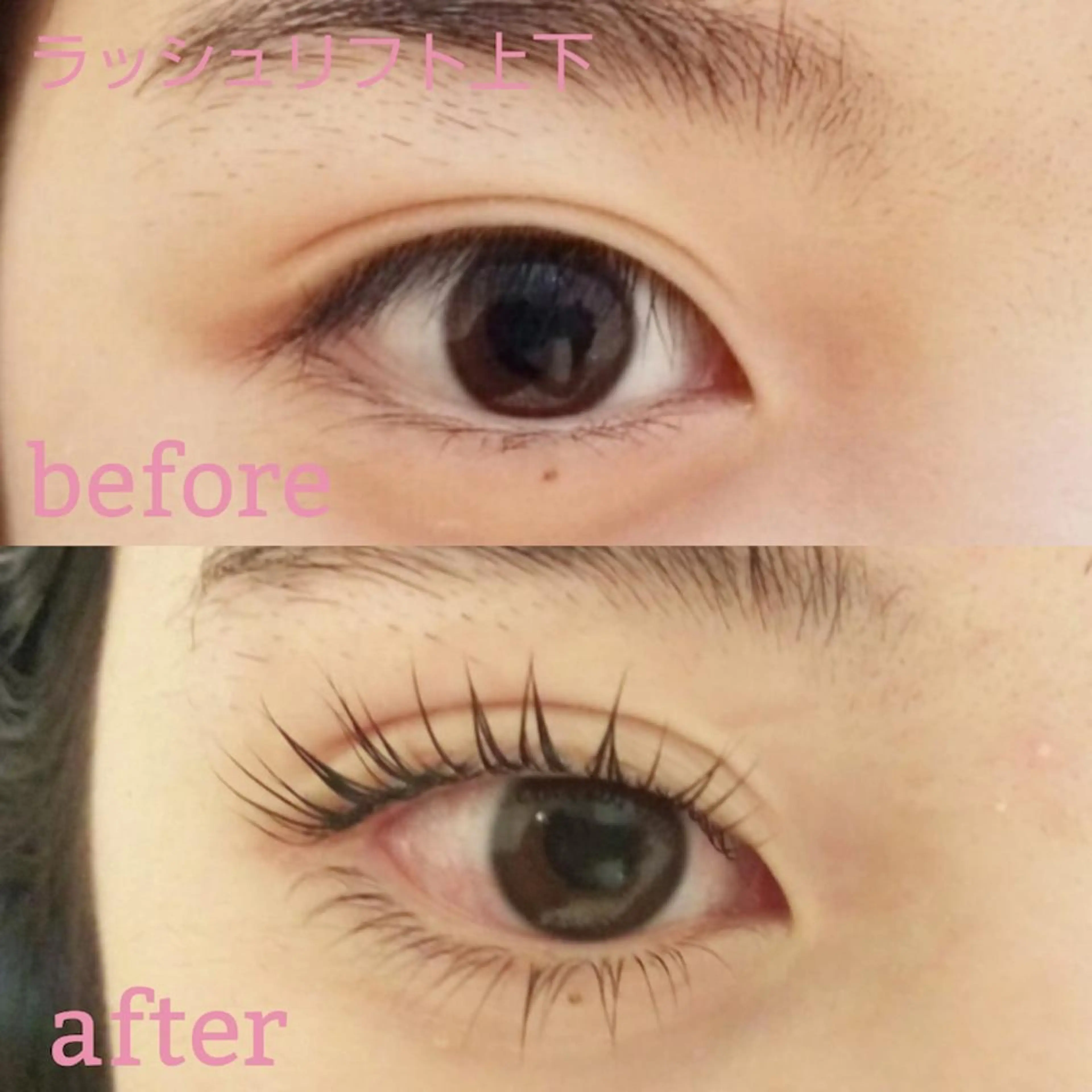駐車場有⭐︎最新技法☆大人気/🈹学割🈹¥6600→¥3999 最新技法下まつげカールの写真