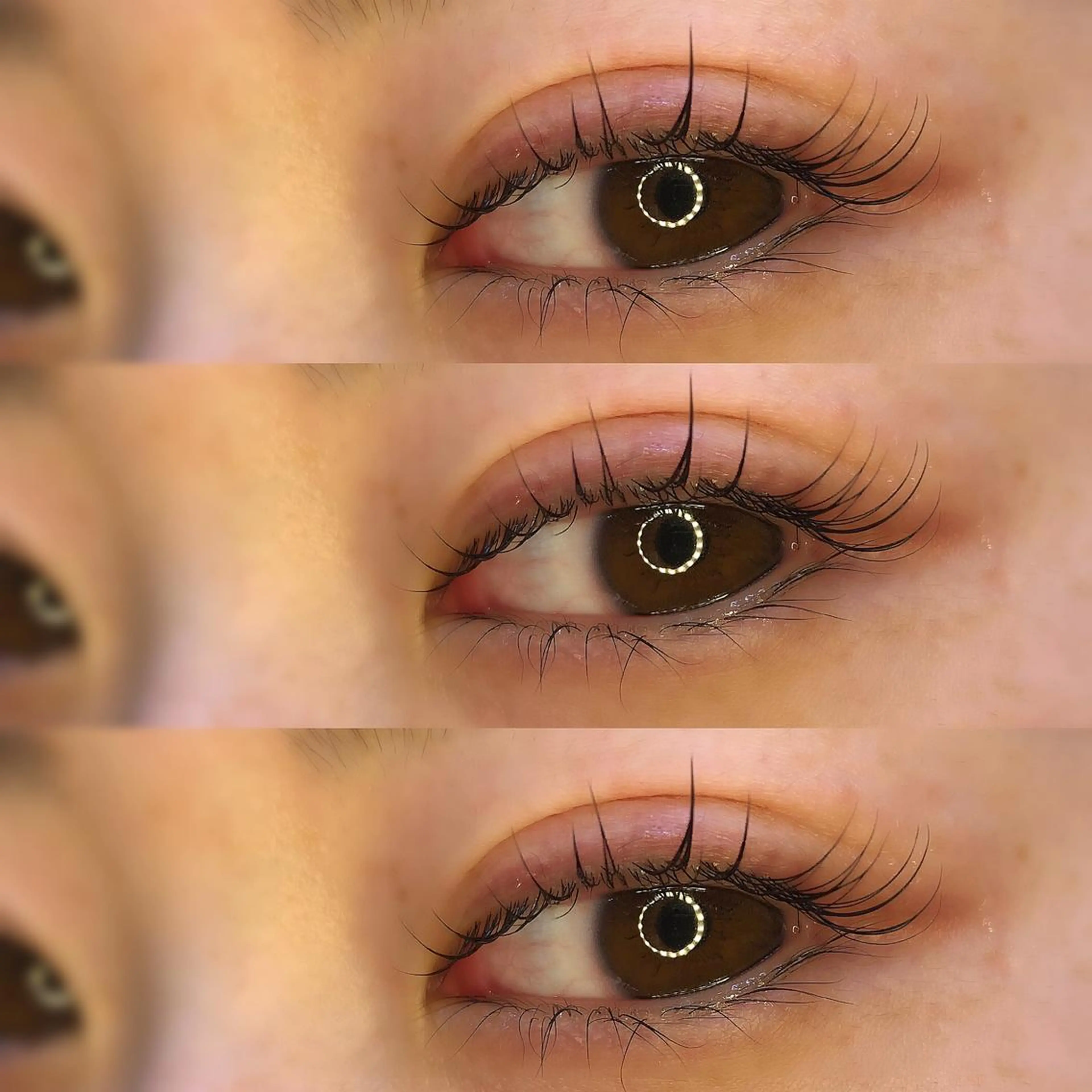 【平日ご新規様限定】ラッシュリフト（ケラチントリートメント＆アイシャンプー付）の写真