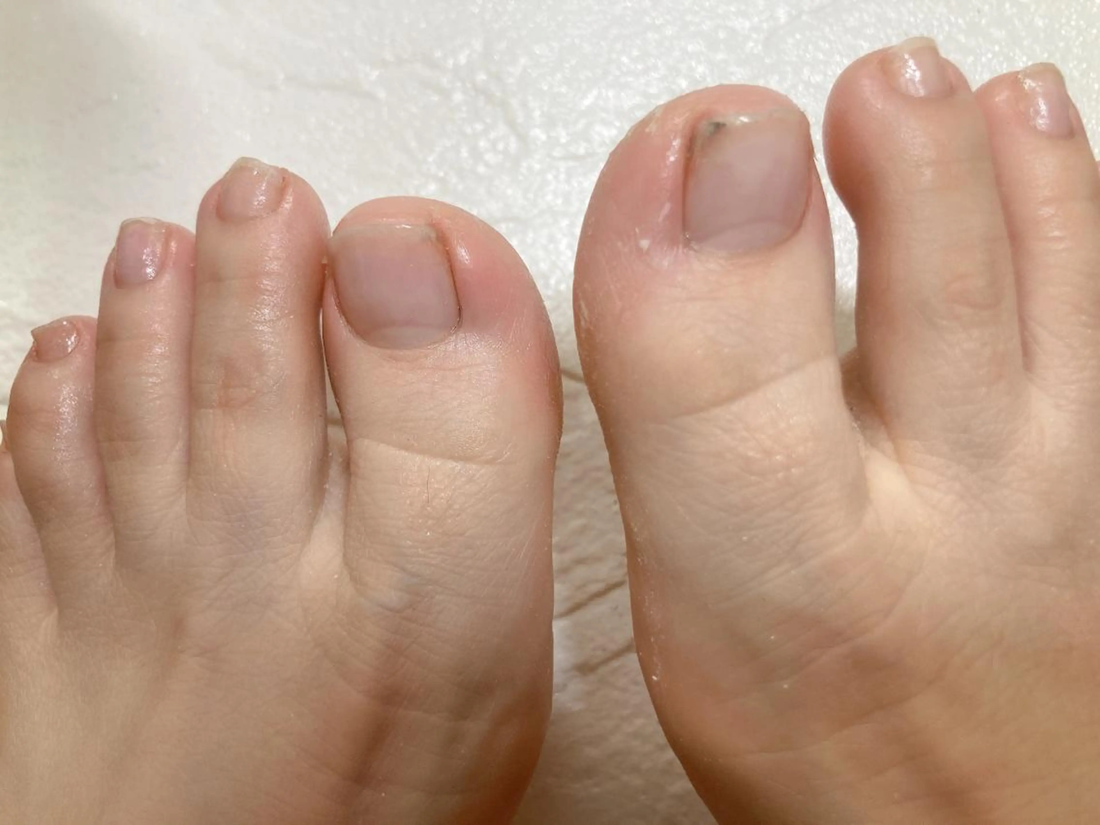 ネイル ネイルケアサロン Campanulaのネイルデザイン