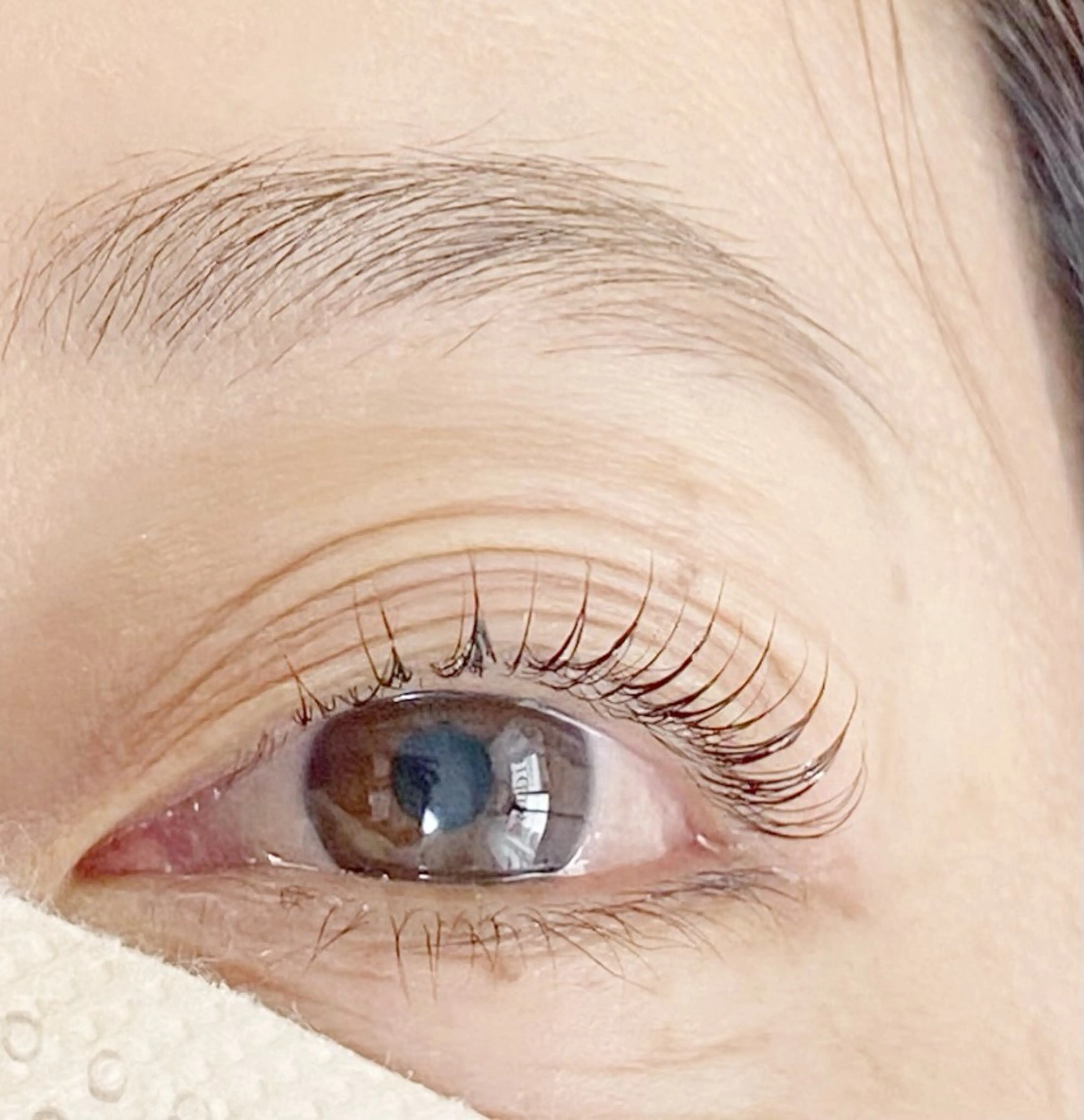 マツエク・マツパ カンビ アールのマツエク・マツパデザイン