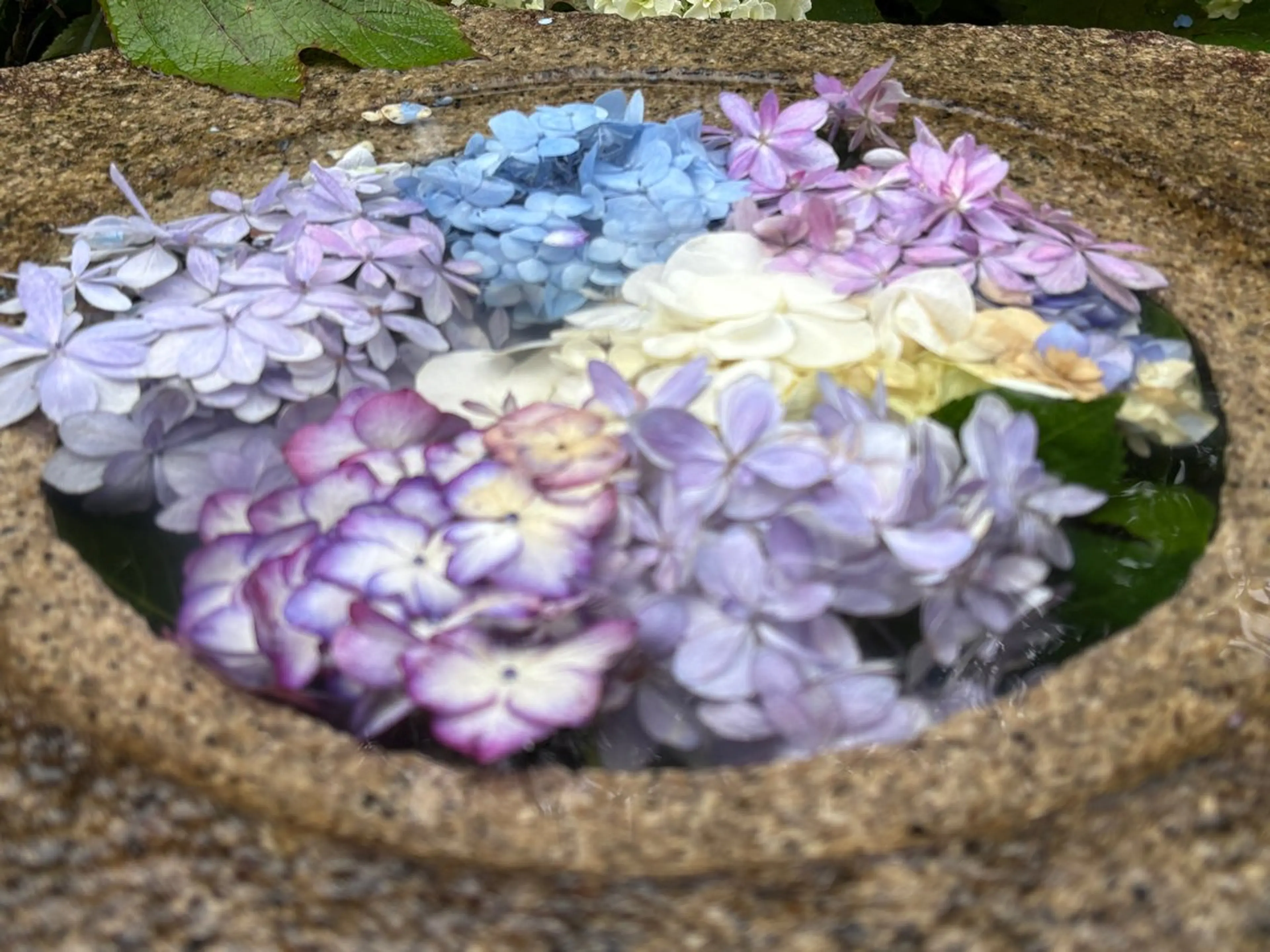 マツパ SINCERELY シンシアリー🌈のネイルデザイン