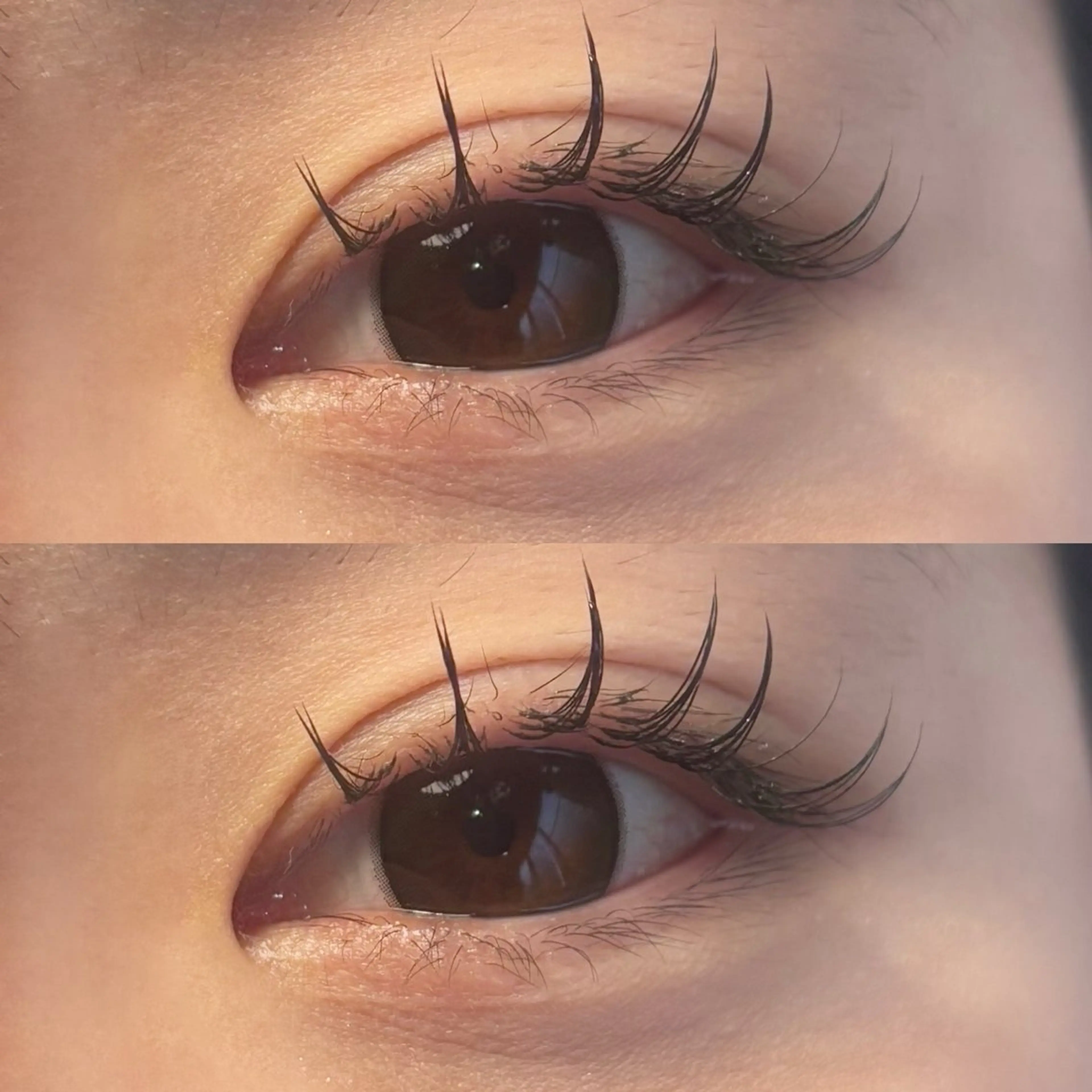 マツエク・マツパ フラットラッシュ 🍇chinatsu 🍇en Rêveのマツエク・マツパデザイン