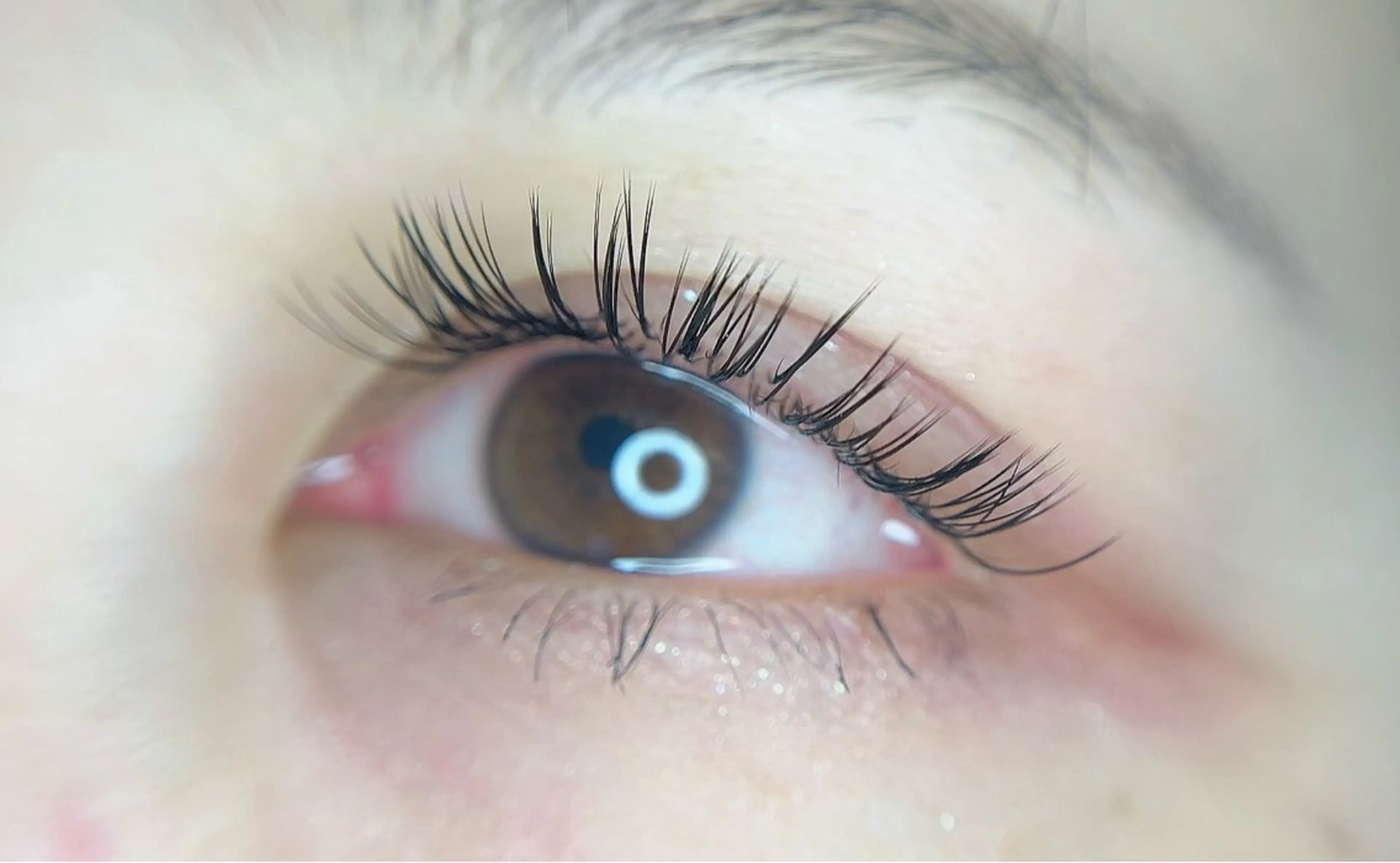 マツエク・マツパ フラットラッシュ Jカール マツエク miu. eyelashのマツエク・マツパデザイン