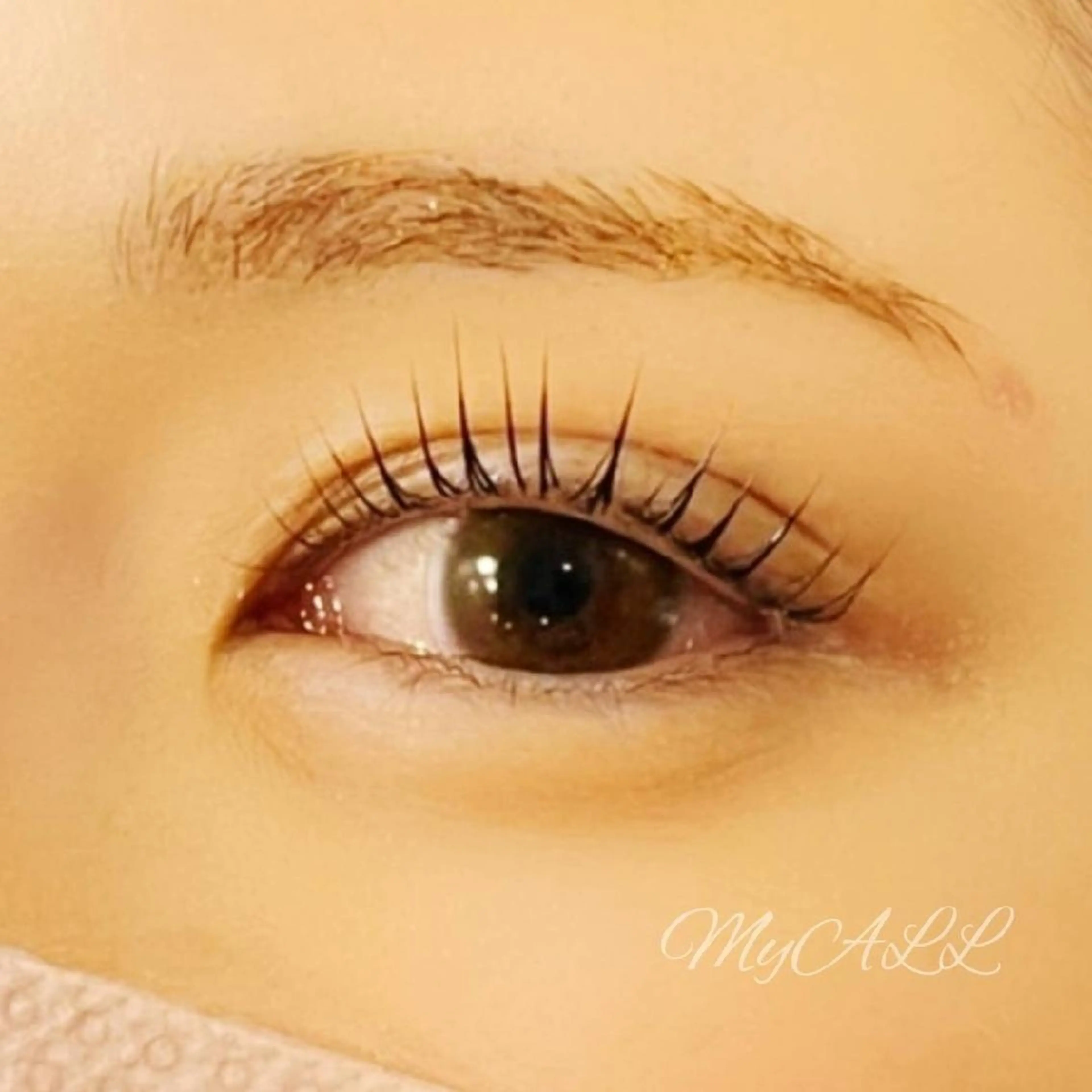 マツエク・マツパ 川口 晴の眉毛・アイブロウイメージ