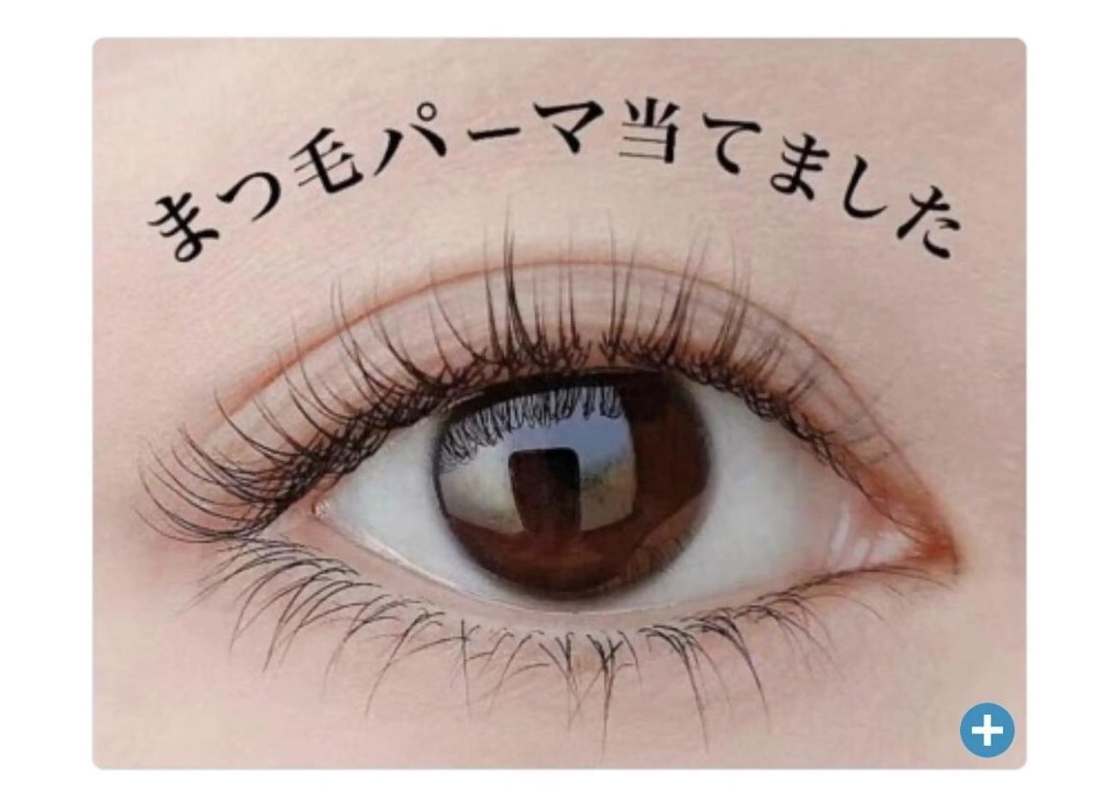 パーマ 神保町まつげ•パーマ みすずのマツエク・マツパデザイン